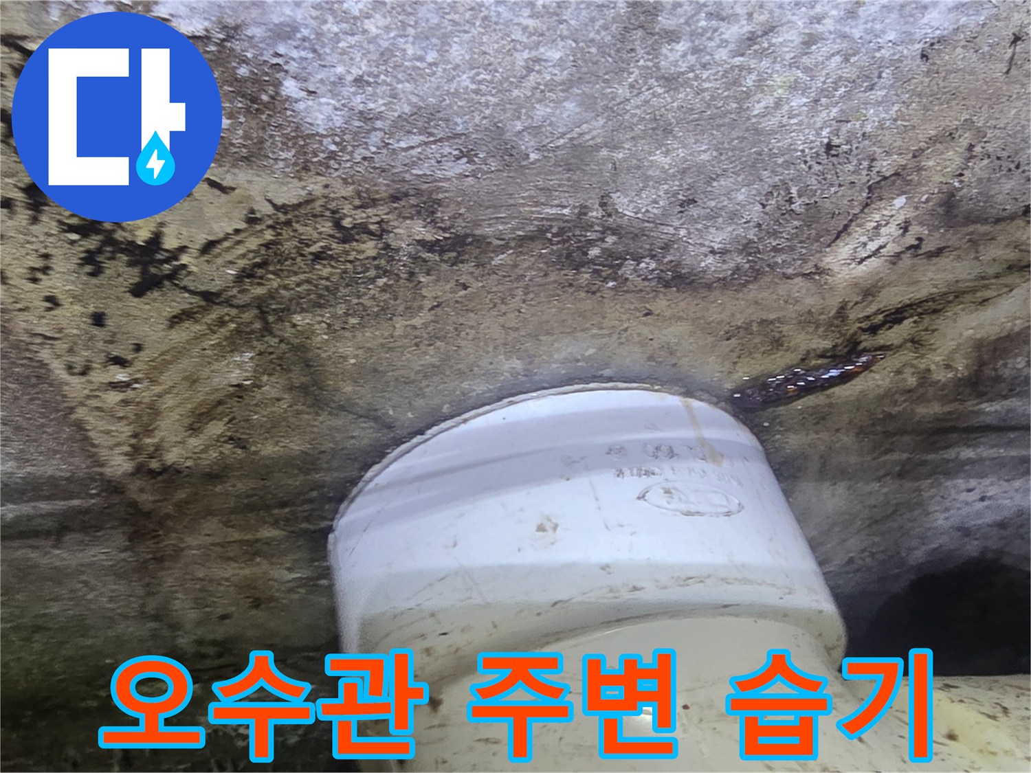화장실-오수 배관 주변의 젖은 슬라브 상태