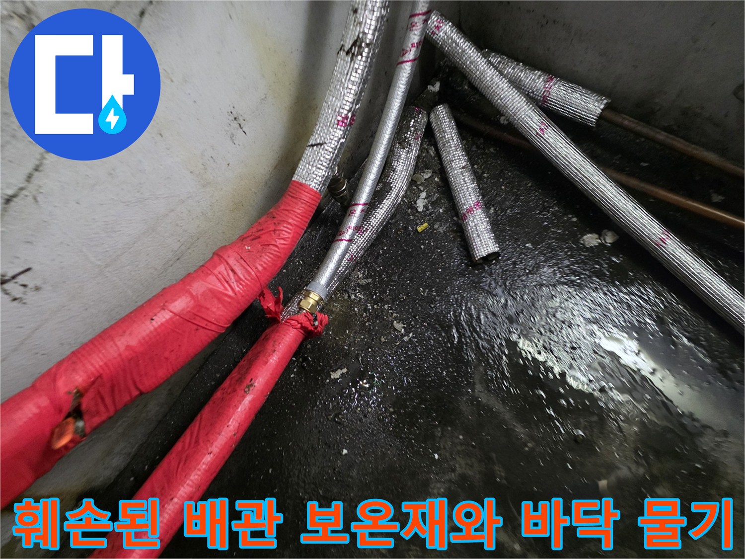 지하층-배관-연결부-보온재-파손-및-바닥-침수-상태