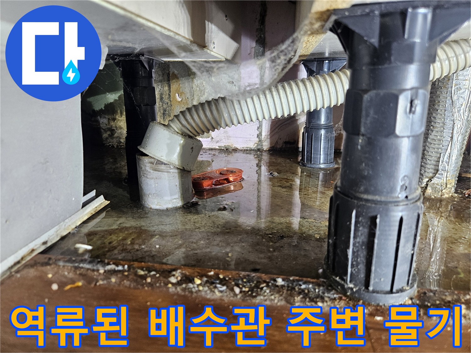 싱크대-배수호스-주변-물고임-상태-확인