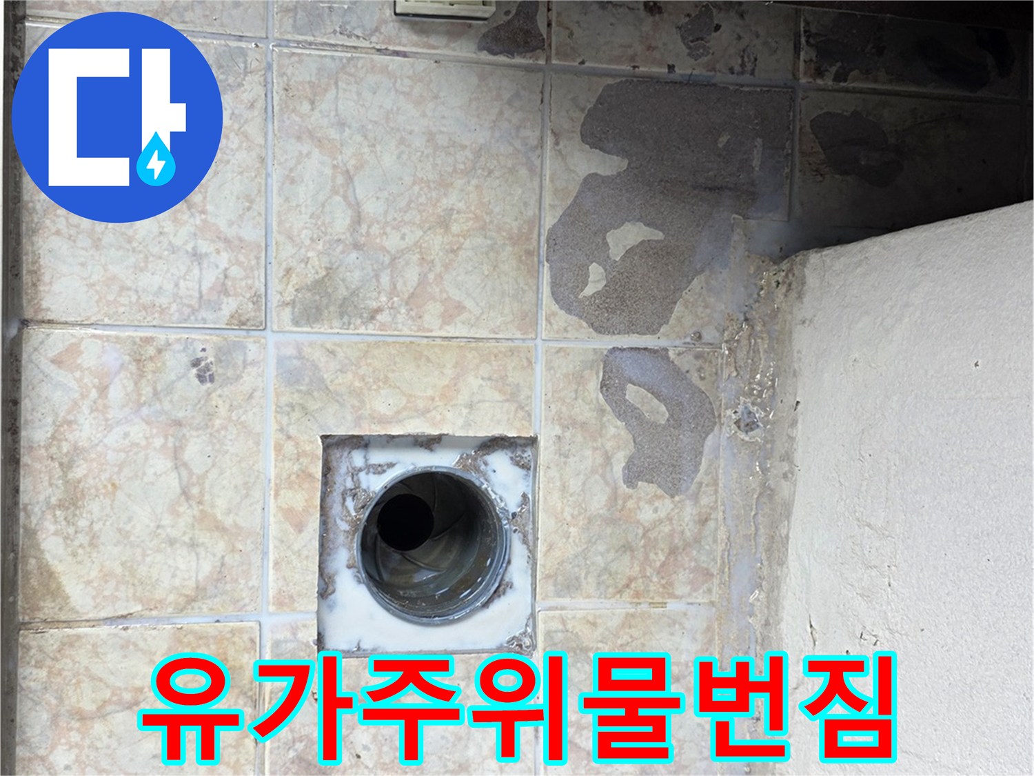 수택동 현장 사진 - 배수구 주변 타일의 습기 맺힘과 오염 확인