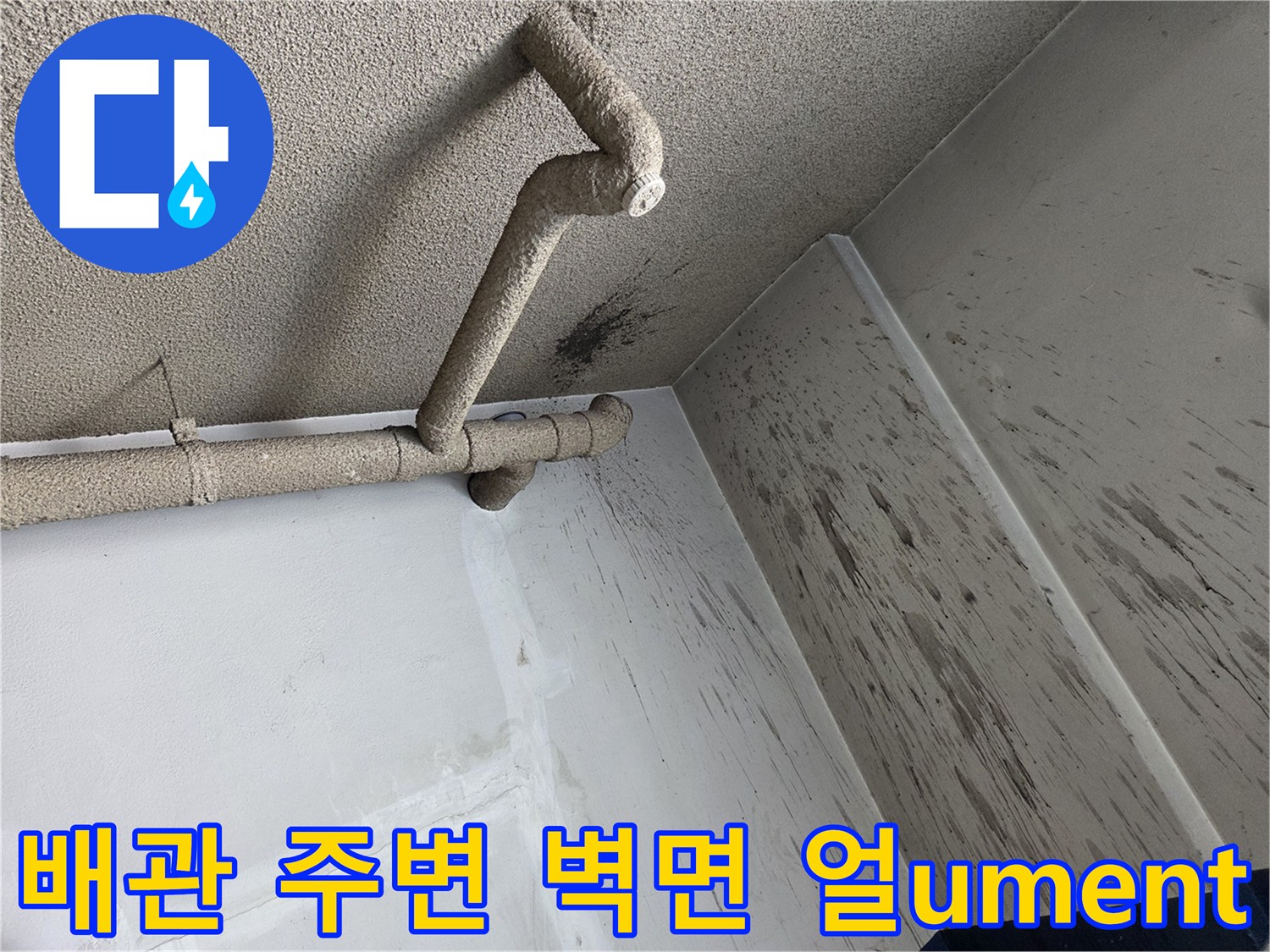 천장-배관-연결부-및-벽면의-검은색-오염-자국