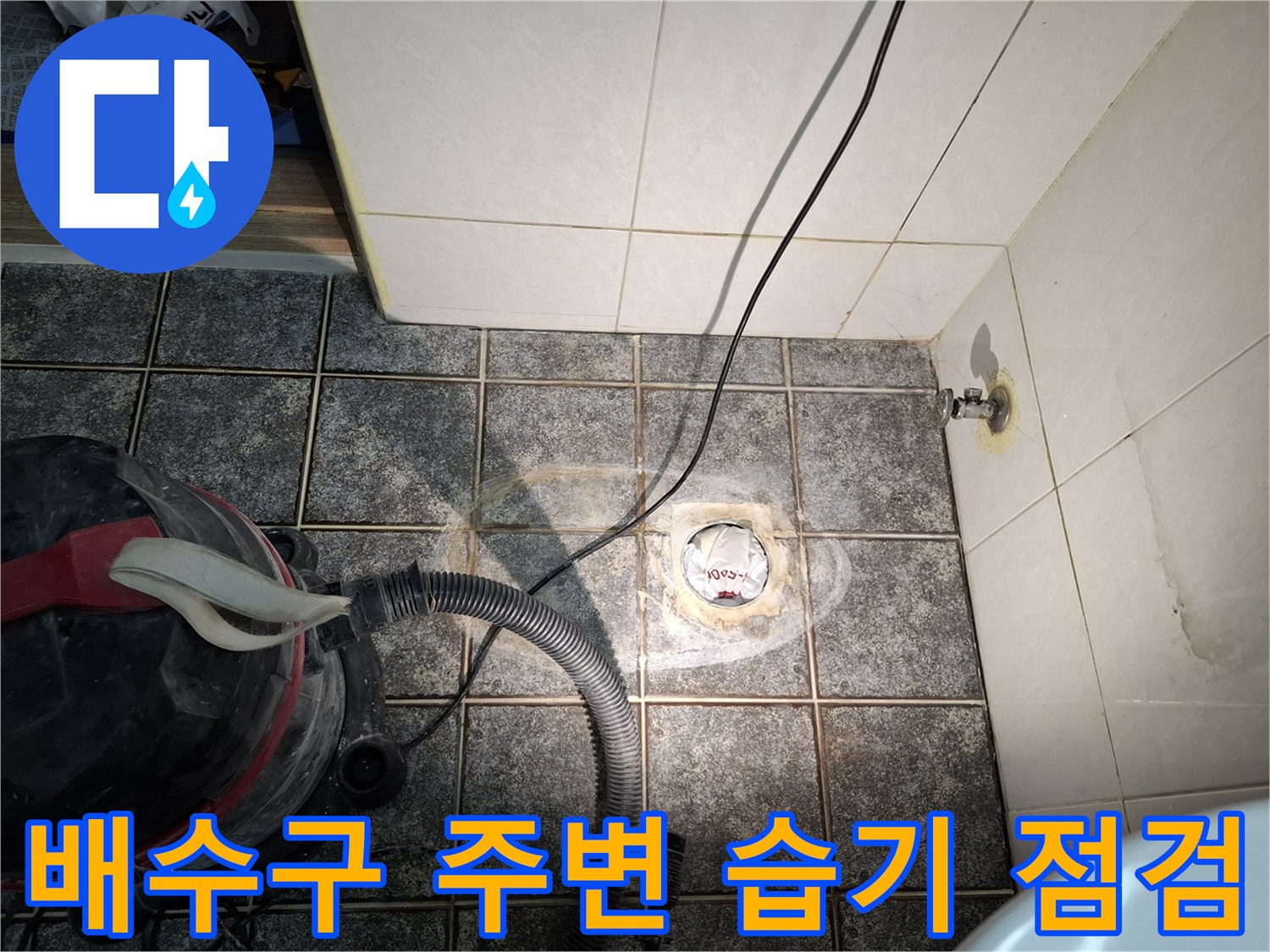 배수구 주변의 젖은 타일과 배관 부위를 집중적으로 살펴보는 사진