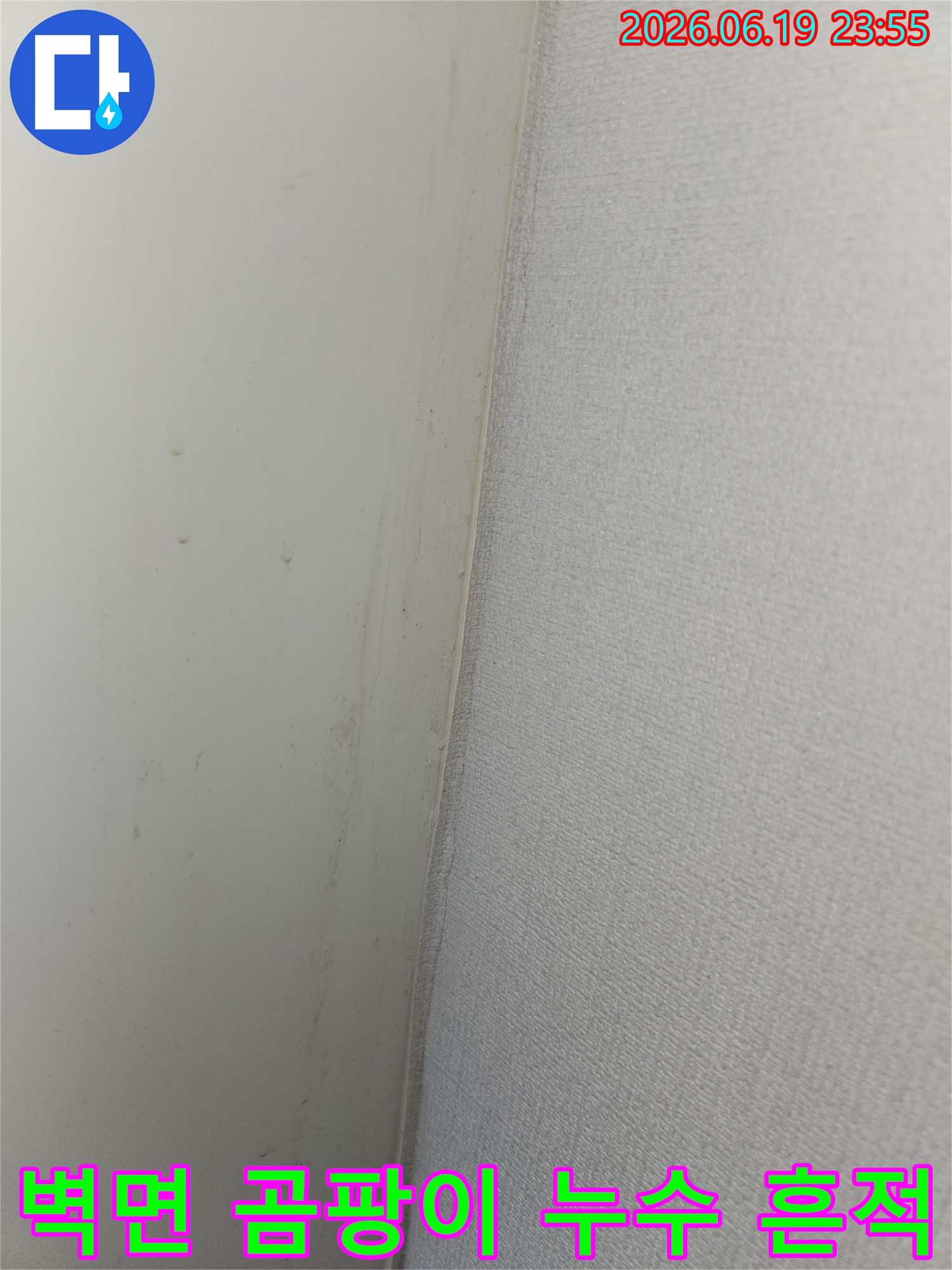 안산 상록구 비발디파크 아파트 벽면에서 발견된 누수-흔적으로 인한 곰팡이-발생 현장 사진