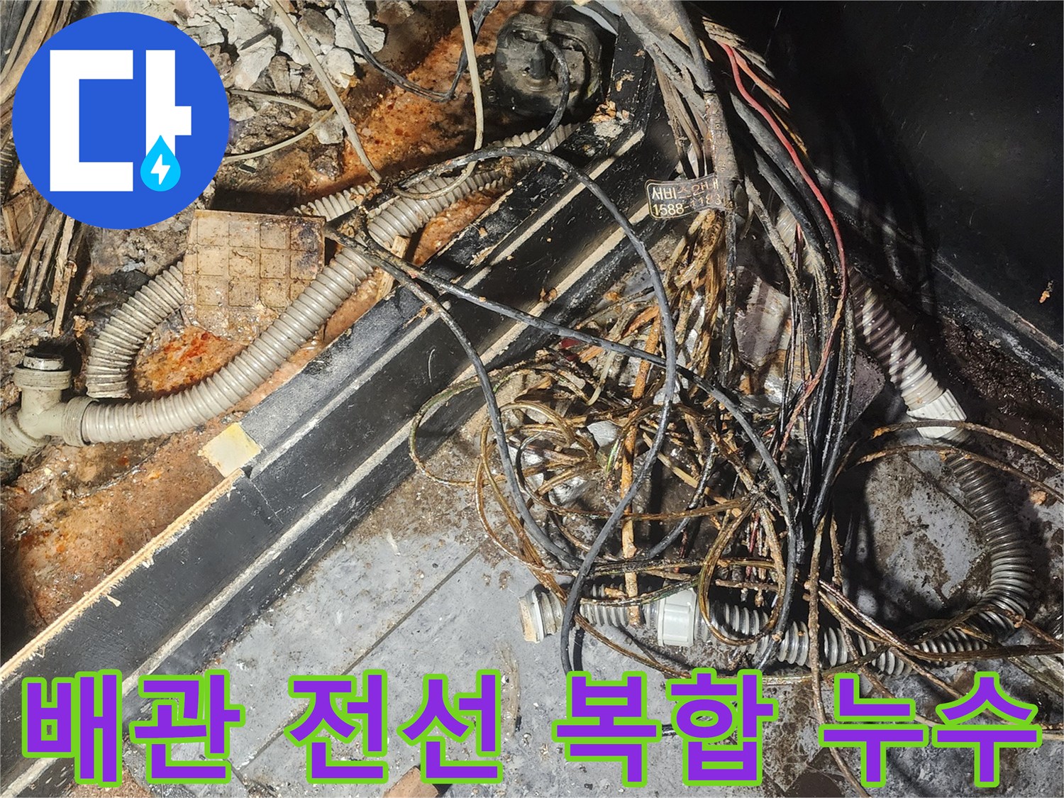 누수-엔지니어가-배관과-전선이-복잡하게-얽힌-누수-현장에서-물에-젖고-부식된-부분을-정밀하게-조사하고-있습니다