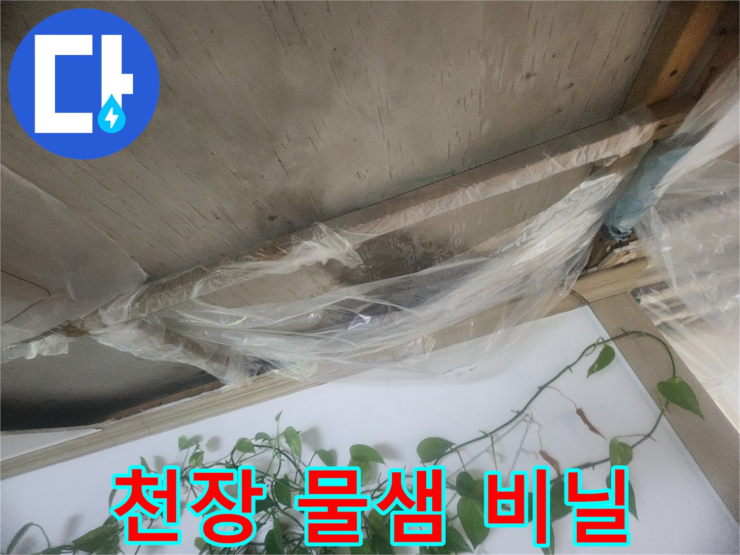 누수로 인해 천장에서 물이 떨어지는 상황을 임시로 막기 위해-비닐로 보양한 모습