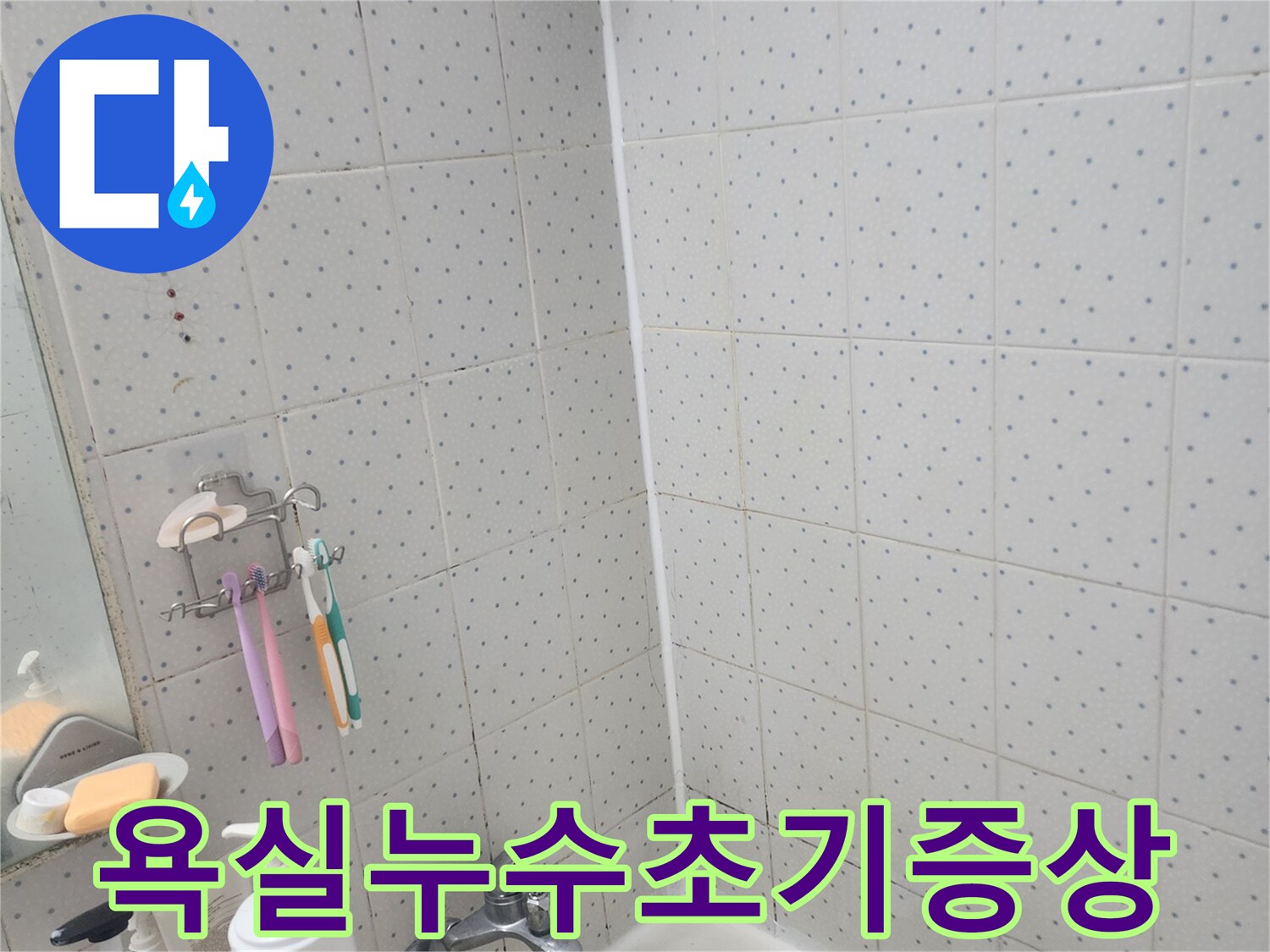욕실-누수-초기-증상-확인-타일-줄눈-변색-및-실리콘-손상-점검-과정