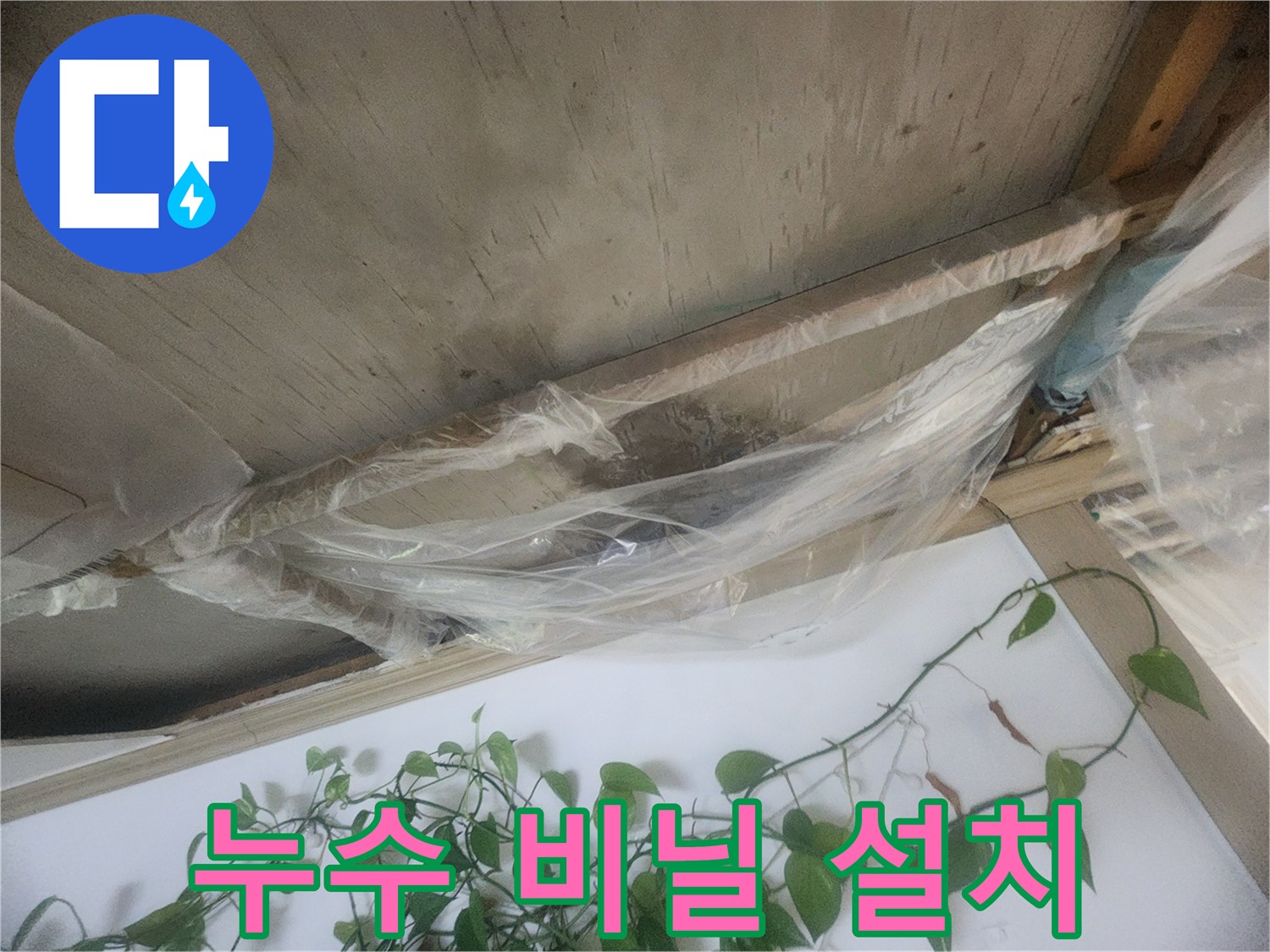 천장 누수로 인한 추가적인 물 떨어짐을 막기 위해-비닐로 임시 방수 조치를 한 모습