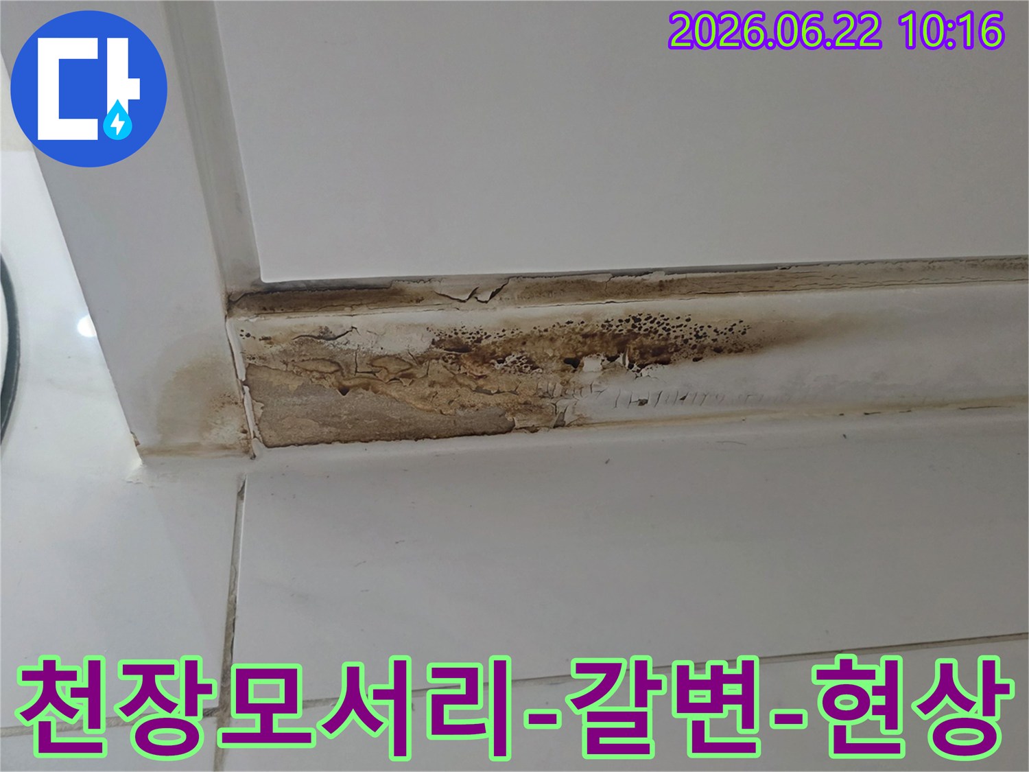 천장과-벽의-모서리-부분에-누수로-인한-심한-갈변-현상과-곰팡이-발생-모습
