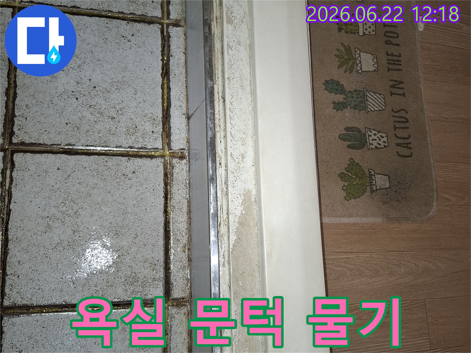 욕실 문턱 하단에 물기가 스며들어 마루와 경계면이 젖어 있는 현장 사진-누수 발생 가능성을 보여주는 중요한 단서입니다
