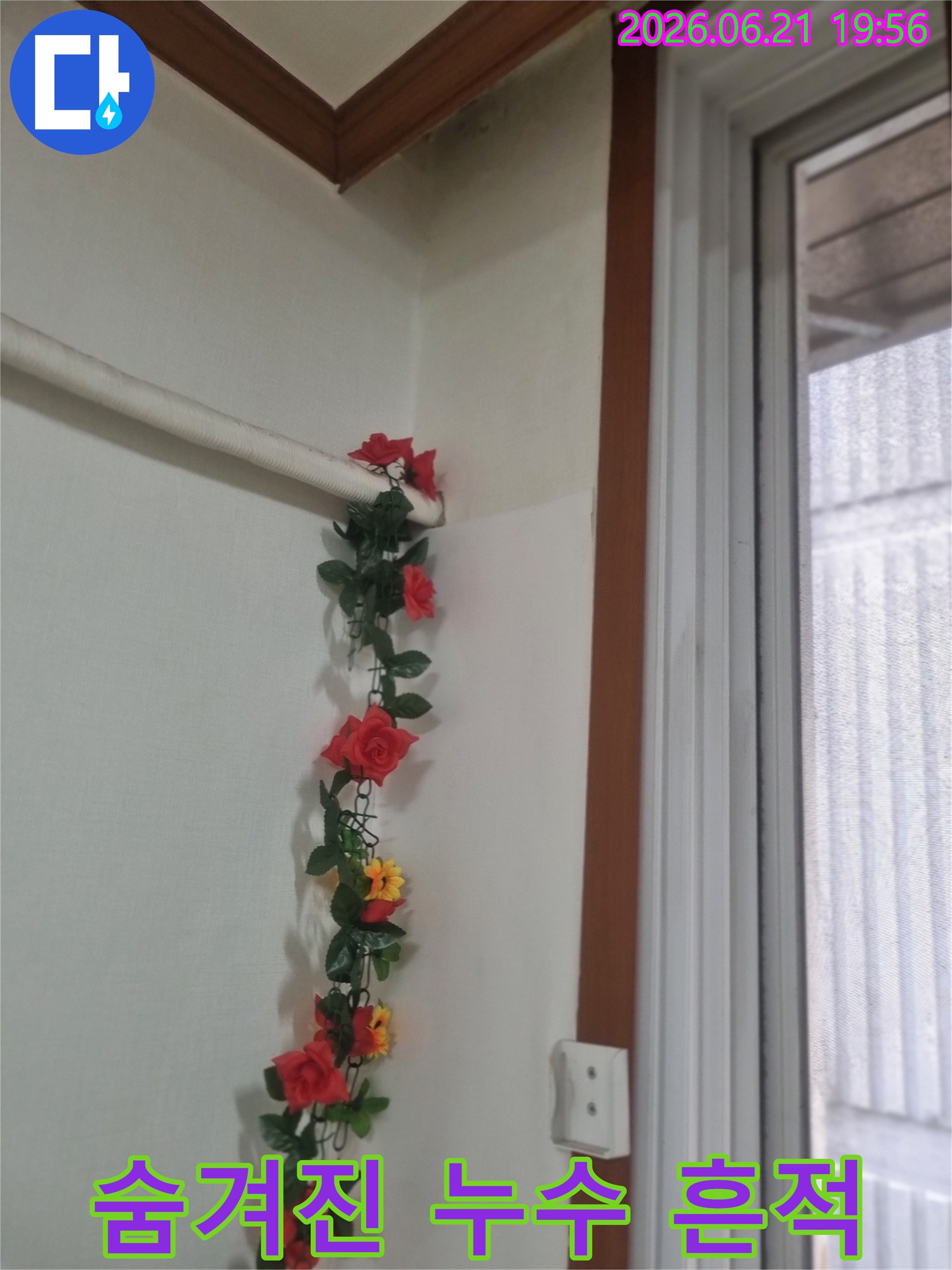 장식용 덩굴에-가려져-있던-배관 주변의-벽면이-누수로-인해-젖고-변색된-상태를-보여주는-사진입니다-오래된-빌라에서-흔히-발견되는-누수-유형입니다