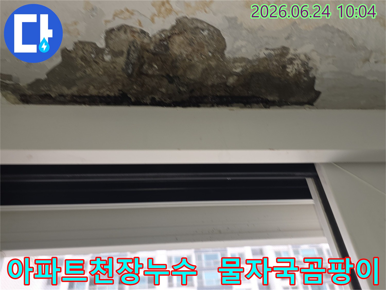 아파트-내부-천장에서-발견된-물자국과-곰팡이-발생-상황