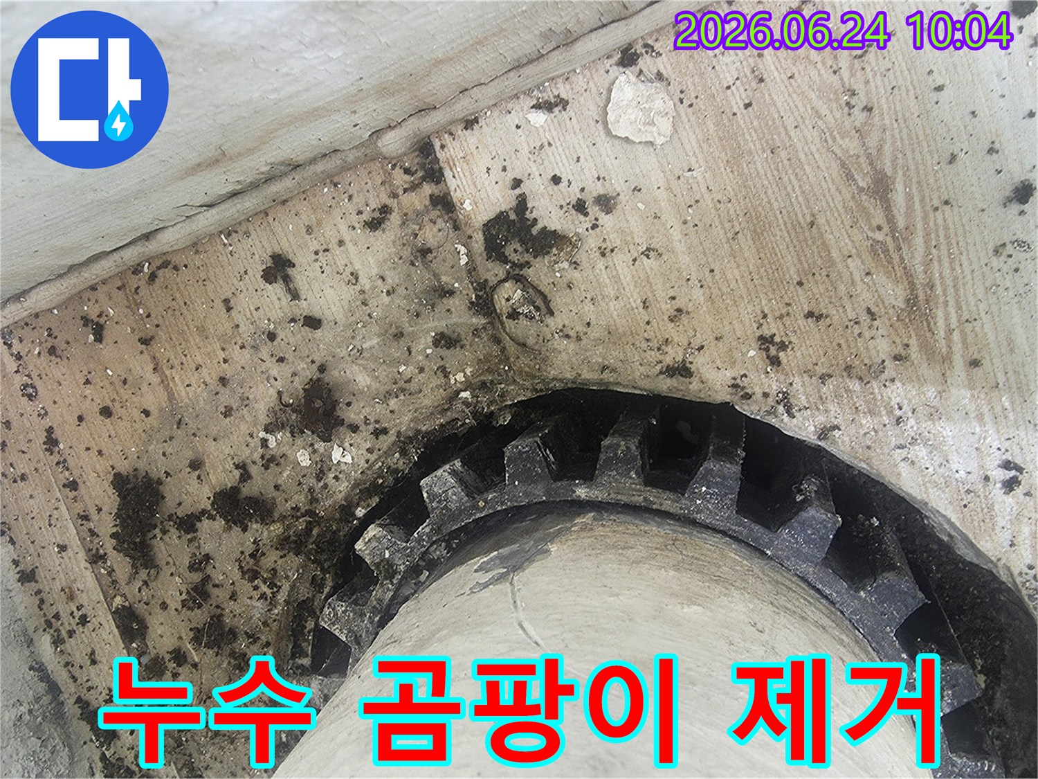 오래된 배관 주변에-물이 새어-검은 곰팡이와-물때가 심하게-생긴 모습을-보여주는 누수 현장