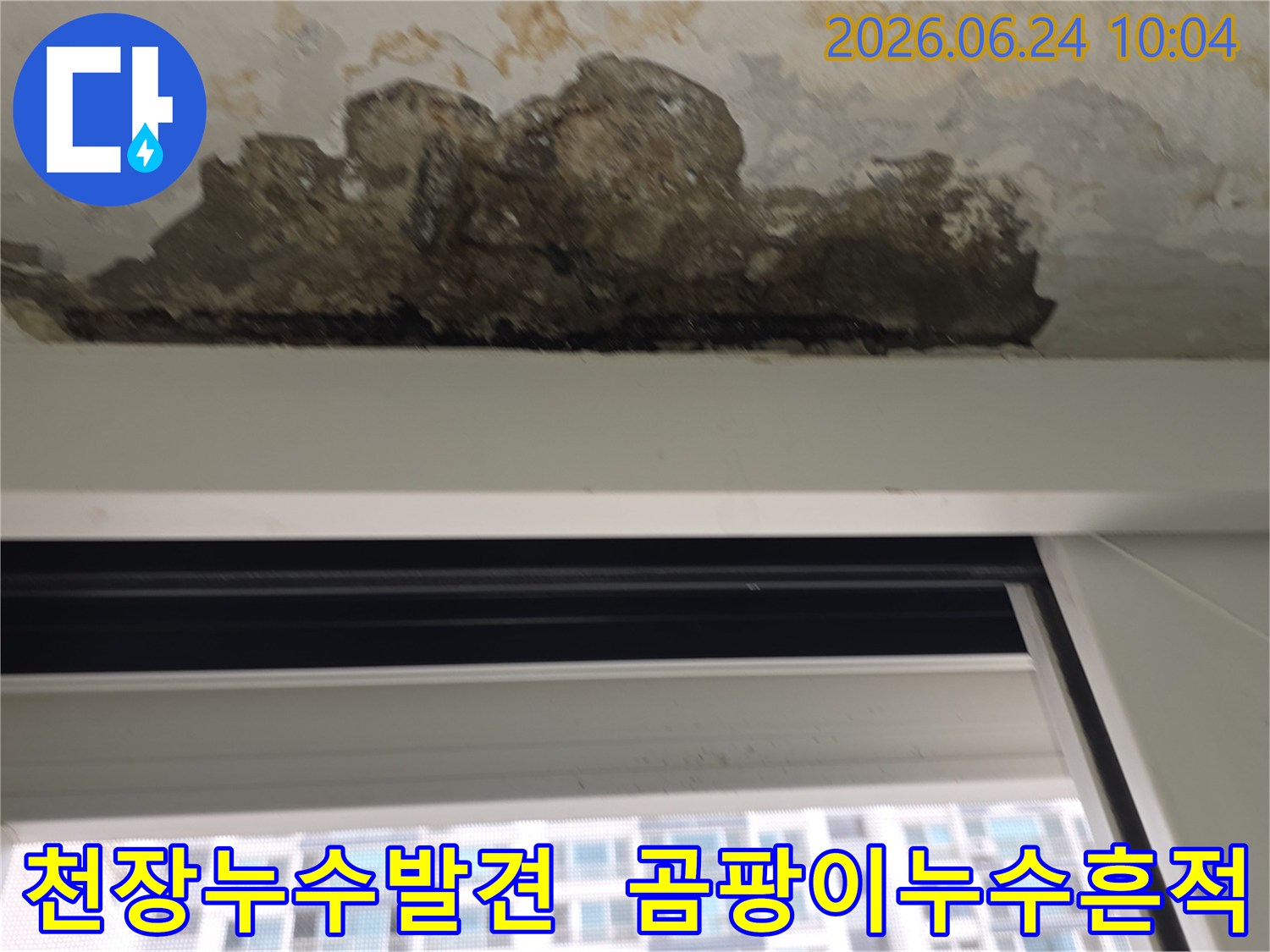 천장에서-발견된-심각한-누수-피해-흔적과-곰팡이-발생-모습
