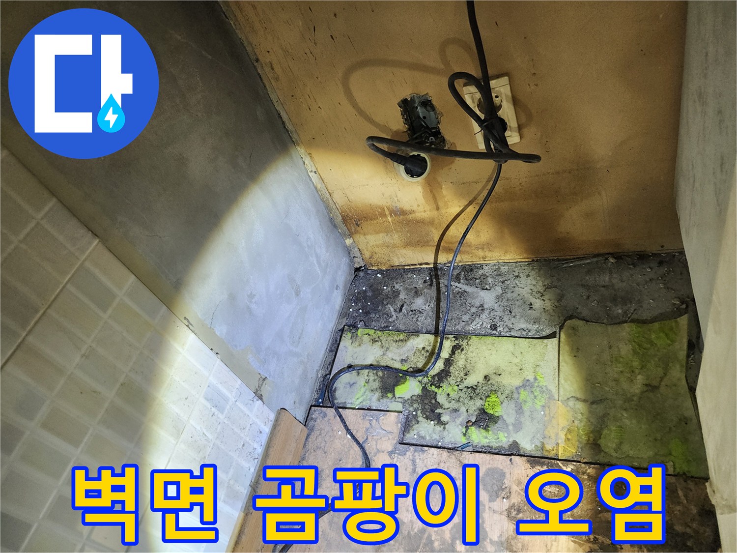 송파구 현장-벽면 하단 곰팡이 및 습기 침투 상태
