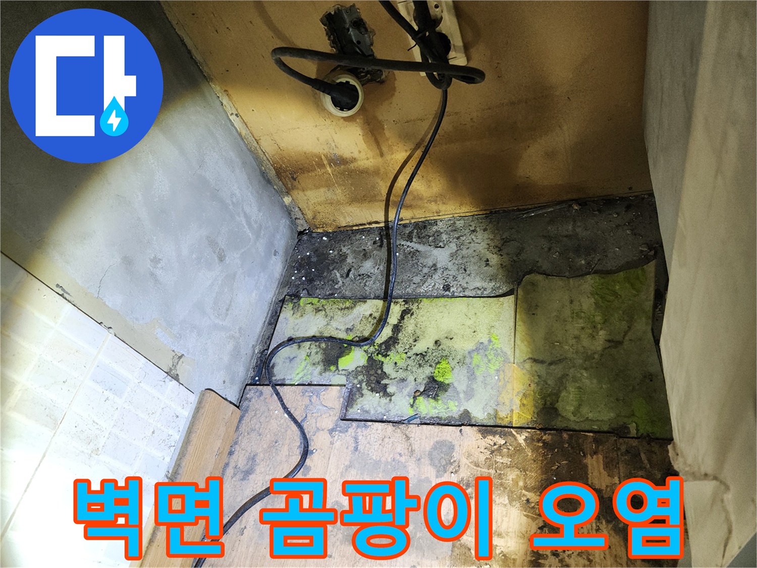 송파구 현장-벽면 하단에 발생한 초록색 곰팡이와 습기 흔적