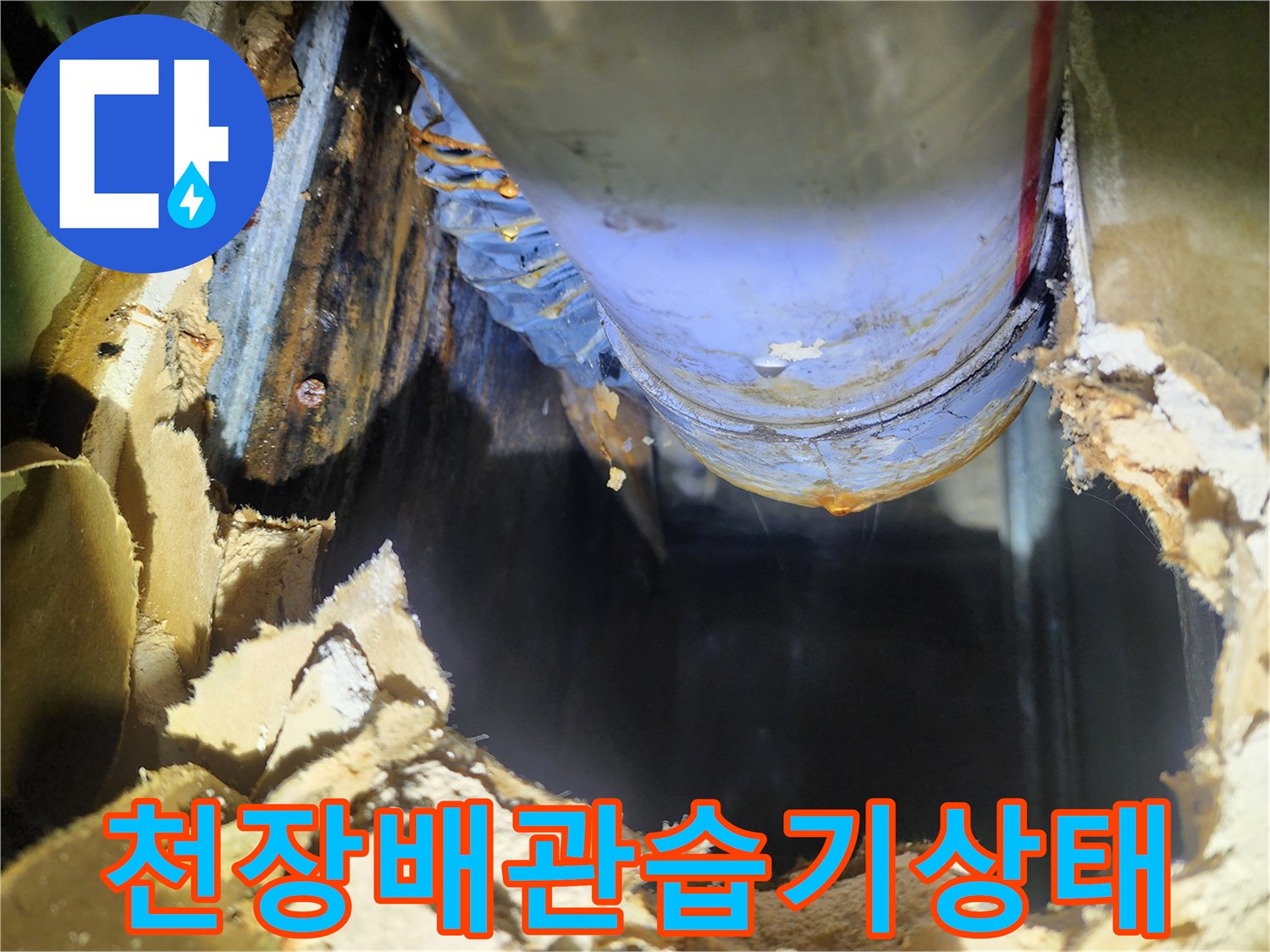 천장 내부-배관 주변의 습기와 곰팡이 발생 상태