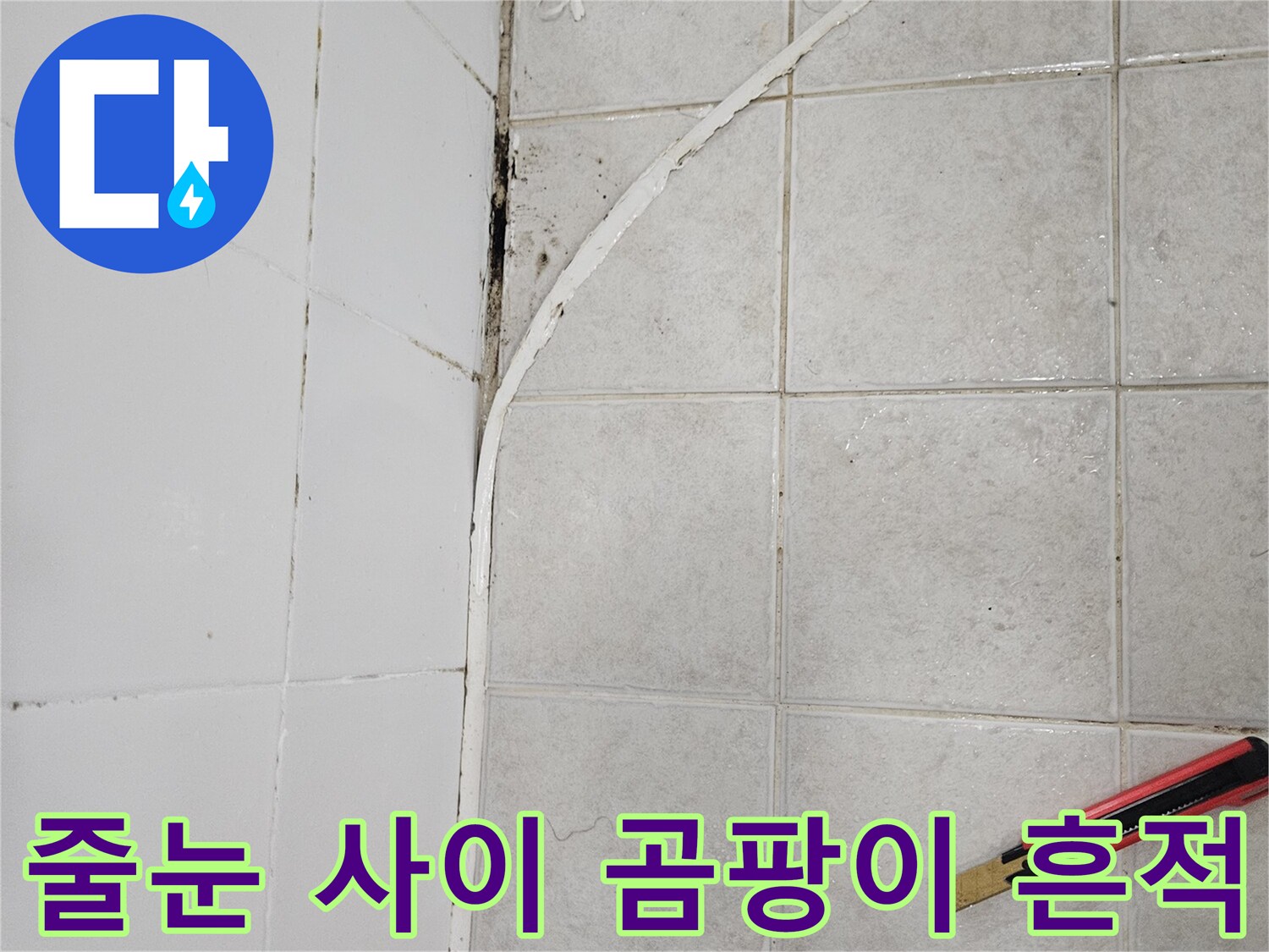 화장실 타일 틈새에 발생한 검은 오염물과 습기 상태