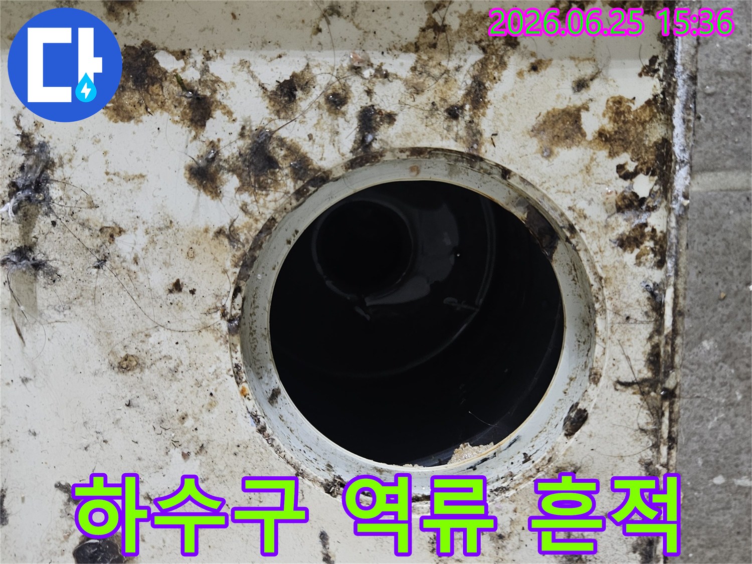 배수구 주변에 검은 오염물과 곰팡이가 심하게 낀 모습-하수구 역류나 지속적인 누수의 명확한 증거입니다