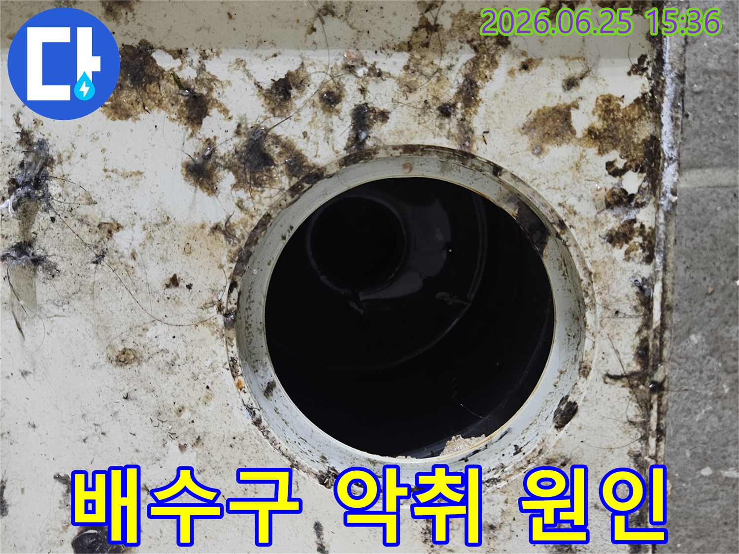 오염된 배수구 주변에 검은 곰팡이와 찌든 때가 심하게 낀 모습-지독한 악취의 주요 원인이 됩니다