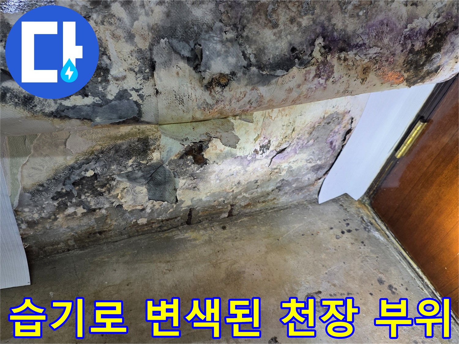 누수 진행으로 인해-변색되고 곰팡이가 발생한 천장과 벽면