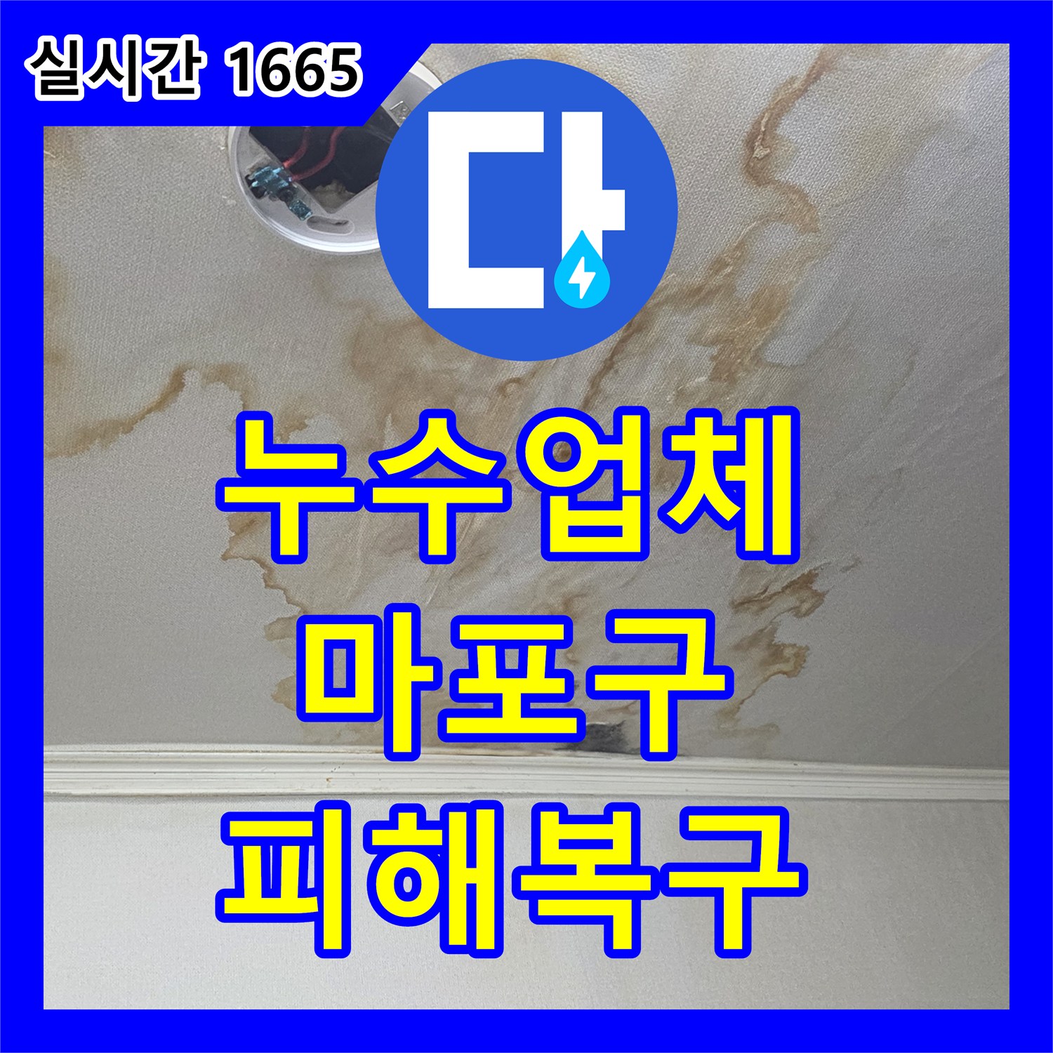 누수설비업체 벽지 하단 물 젖음 및 곰팡이, 신속하게 보수 작업 진행하여 해결해 드린 서울 마포구