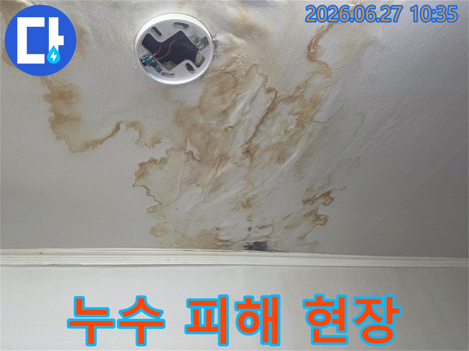 오랜 기간 진행된-누수로 인해-천장에 생긴-광범위한 물자국 이미지