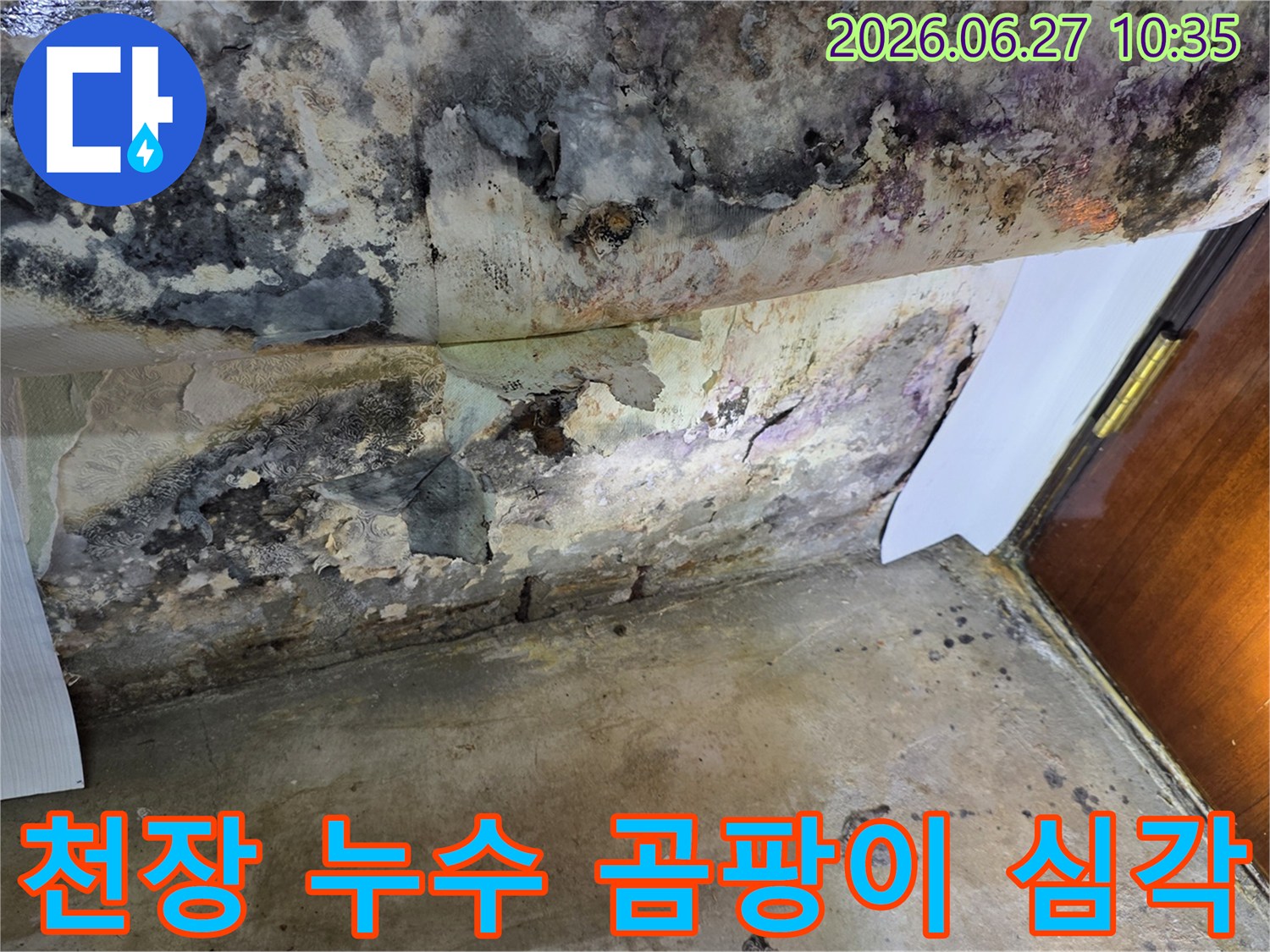 천장 모서리 부분에-누수로 인한 벽지 손상과-검은 곰팡이가 심하게 번져있는 모습입니다