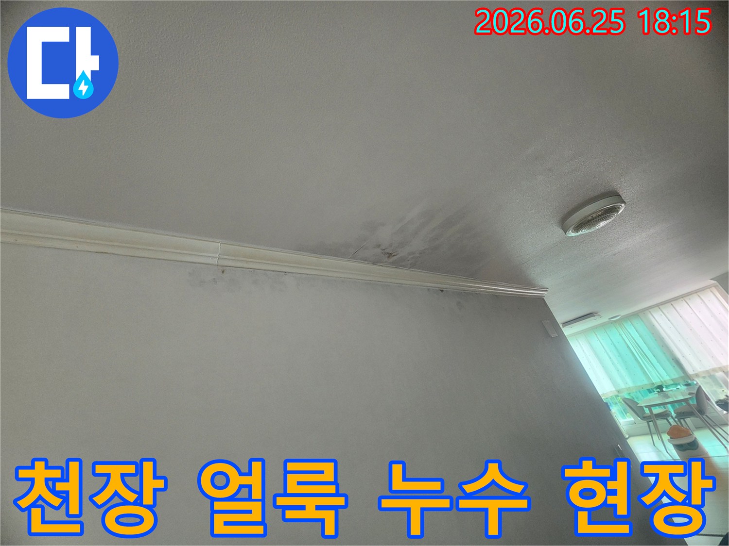 천장-모서리에-발생한-누수-얼룩은-물이-새고-있음을-명확히-보여줍니다