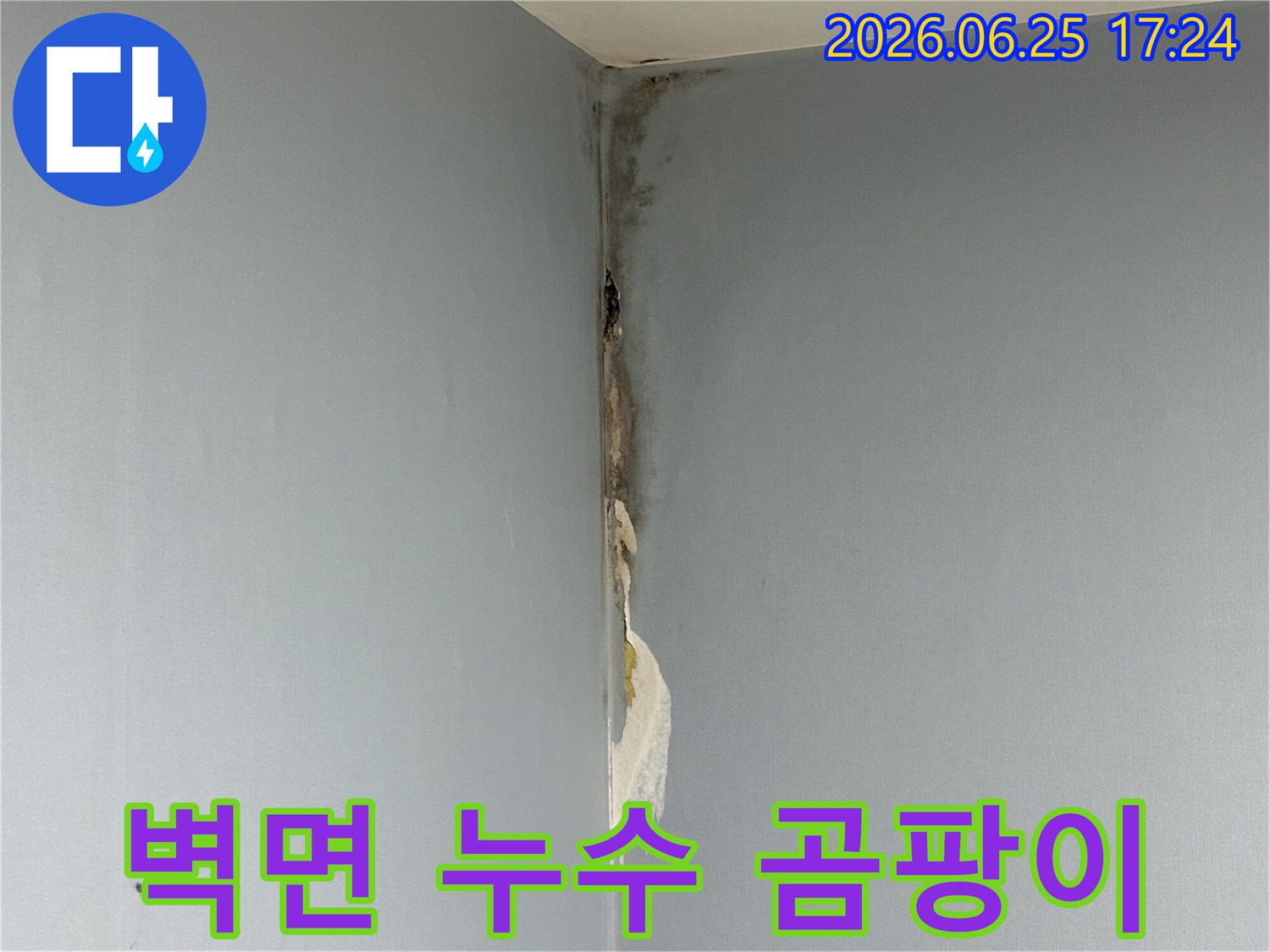 벽지-곰팡이와-함께-발생한-심각한-아파트-벽면-누수-현장-모습을-담은-사진입니다