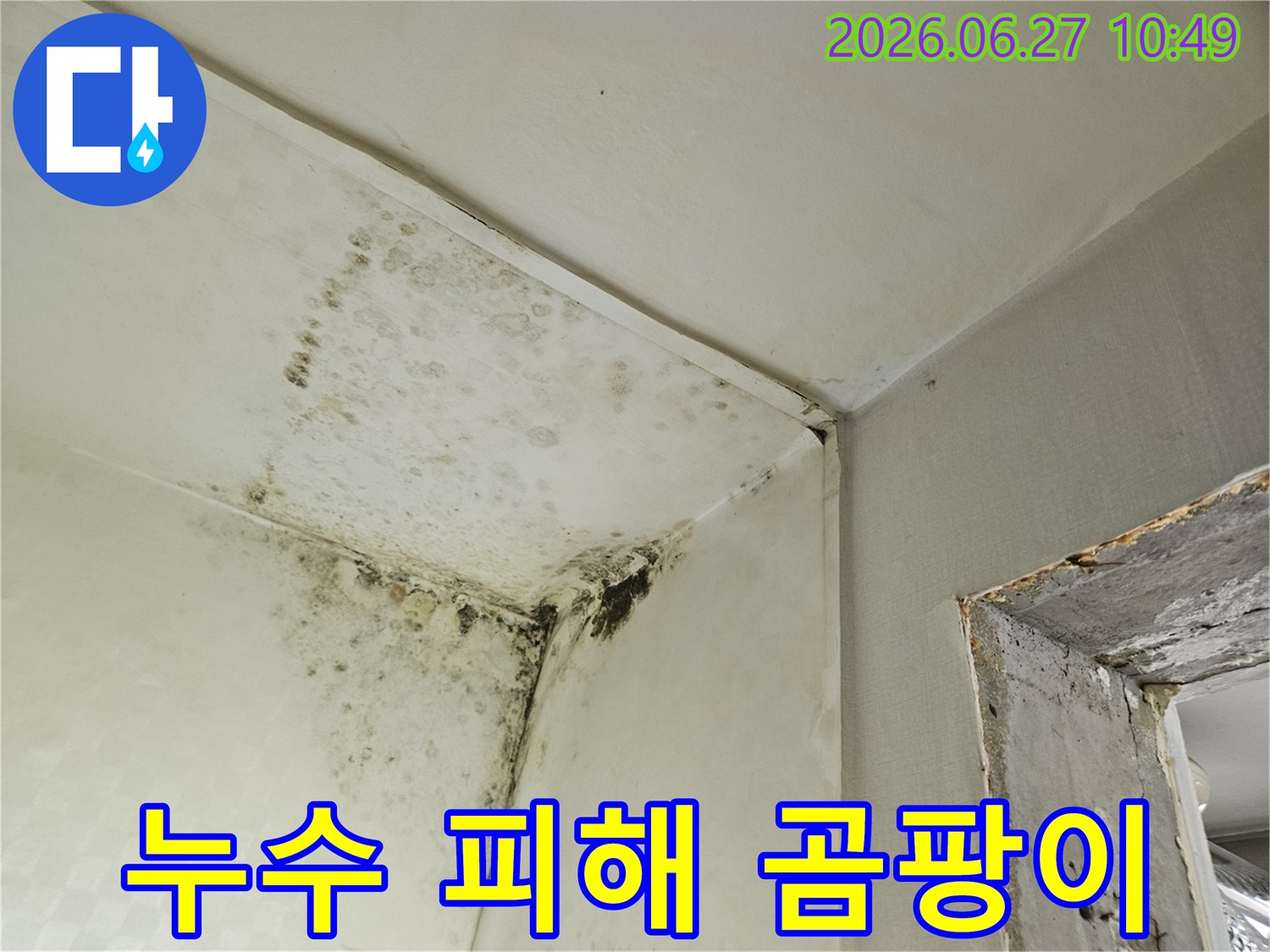 이 사진은 천장과 벽의 모서리에 심각하게 번식한 검은 곰팡이를 보여주며-이는 장기간의 누수나 높은 습도로 인한 주택 피해를 나타냅니다.