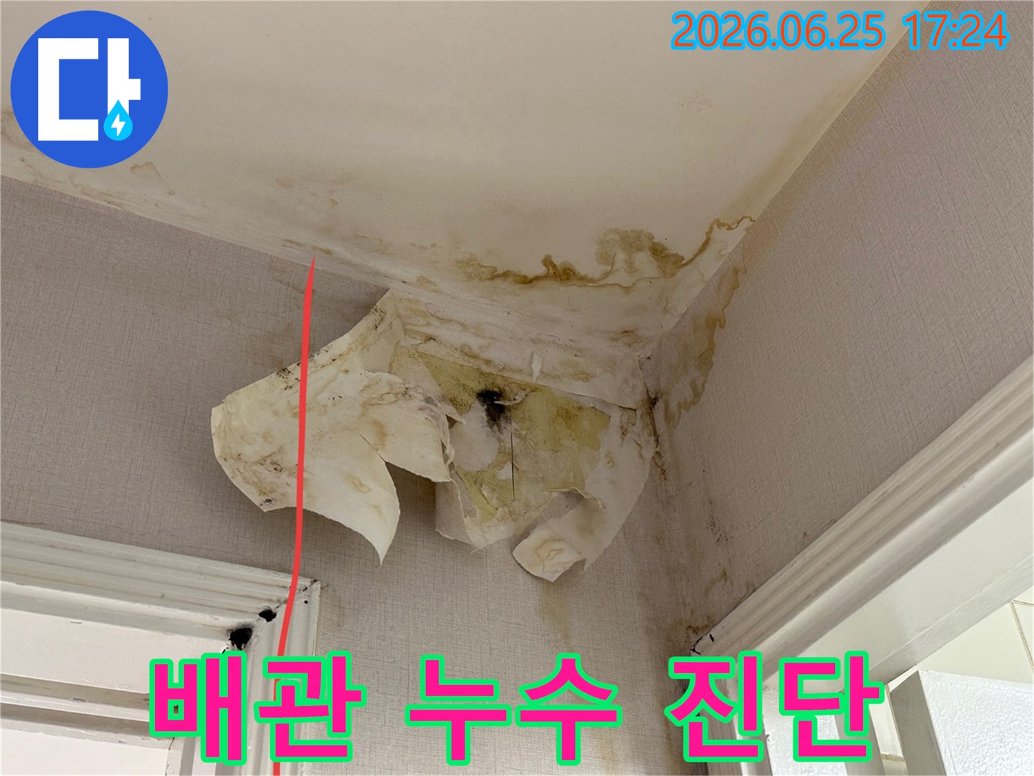 이 사진은 천장과 벽이 만나는 코너에서 발생한 누수-벽지 손상-그리고 곰팡이 증상을 보여줍니다.