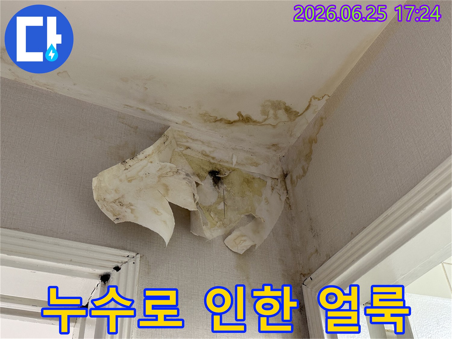 주거 공간의-천장과 벽면에서-확인된 물 얼룩과-벽지 손상으로-누수 문제의-심각성을 나타냅니다