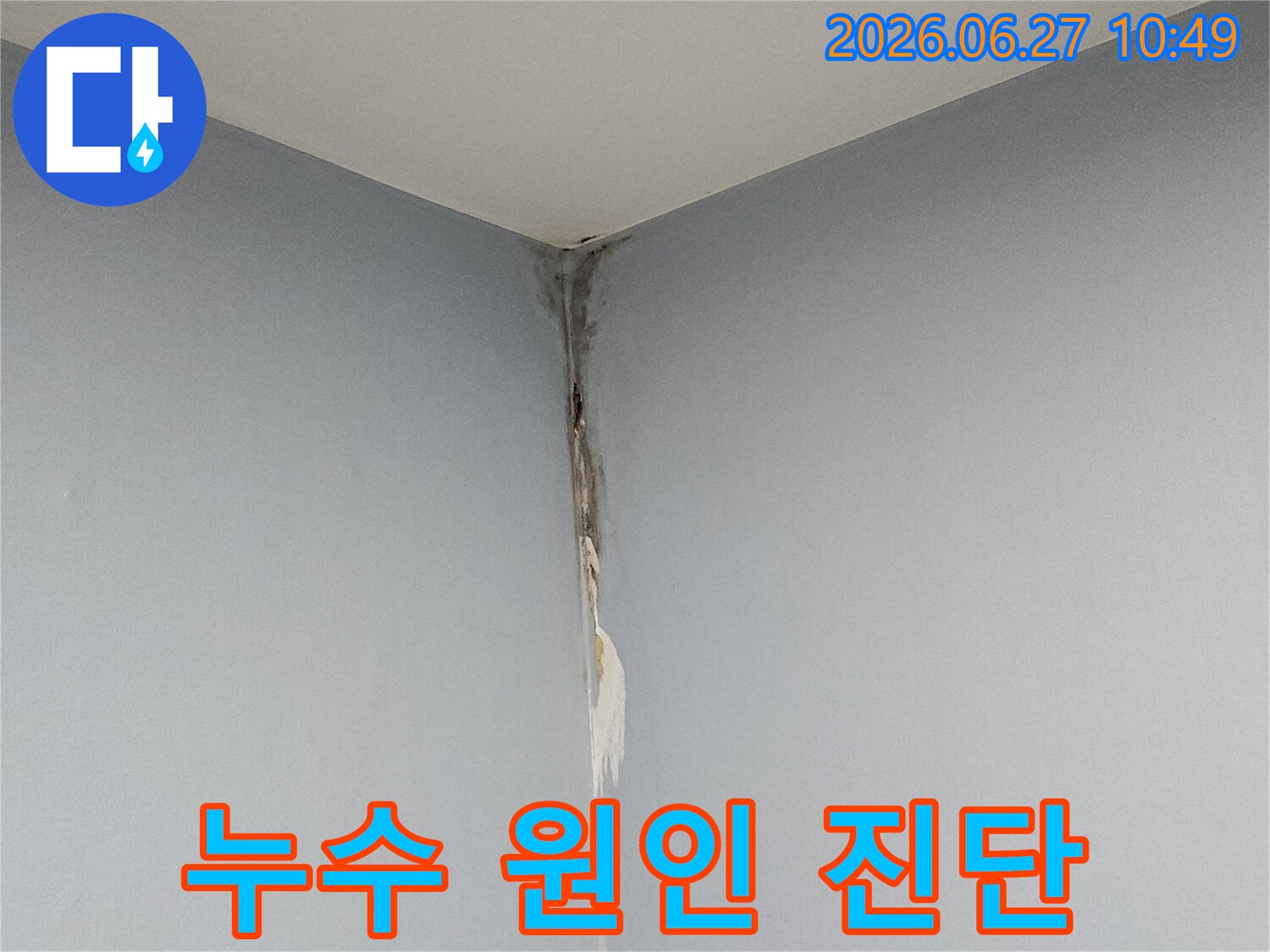 천장과 벽의 모서리 부근에 누수로 인한 벽지 손상과 곰팡이가 발생하여-정확한 누수 원인 진단이 시급함을 보여주는 현장 사진입니다.