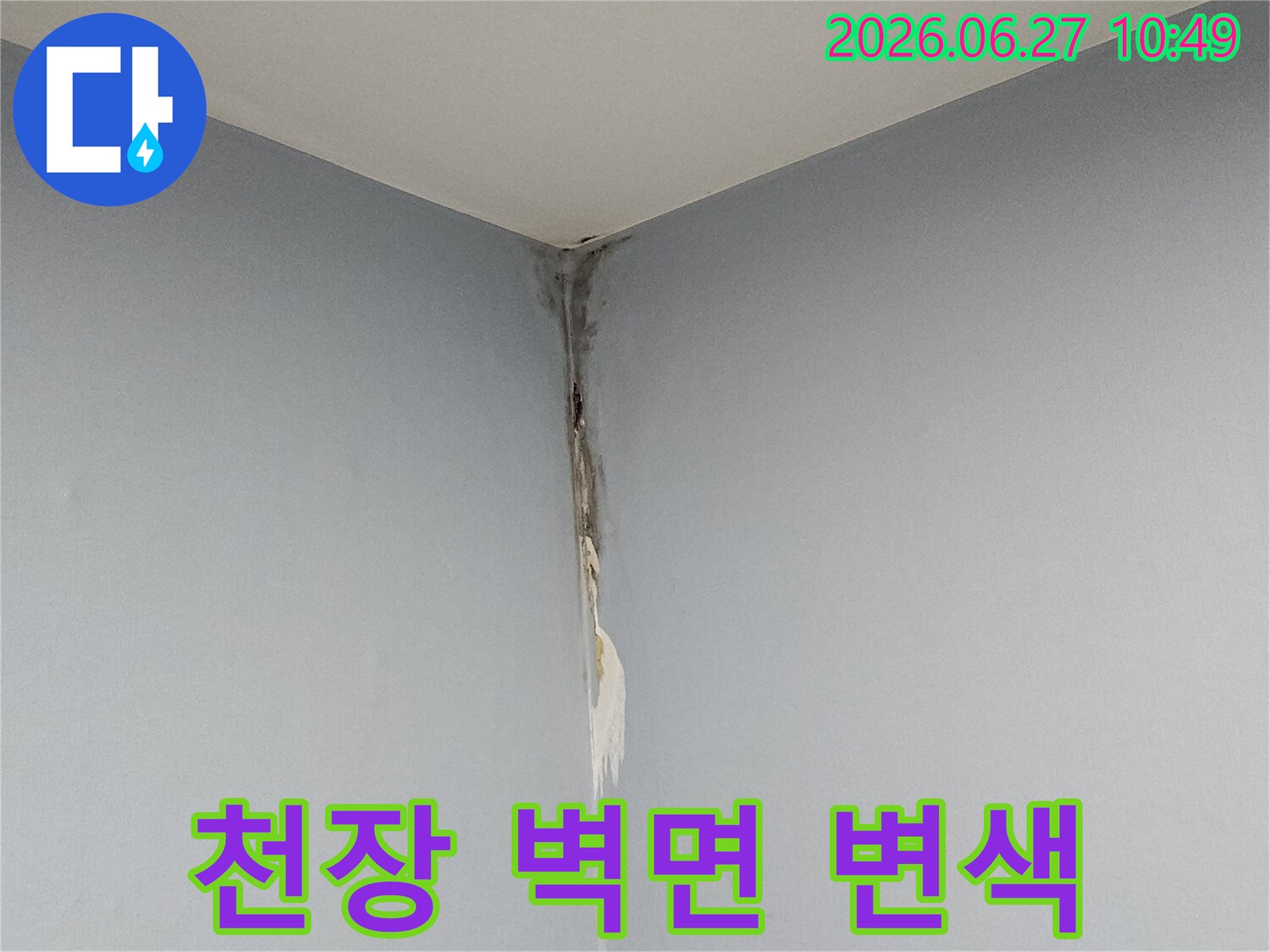 천장과 벽의 모서리 부근에 누수로 인해 벽지가 젖고 변색되어-심각한 습기 문제를 암시하는 현장 사진입니다.