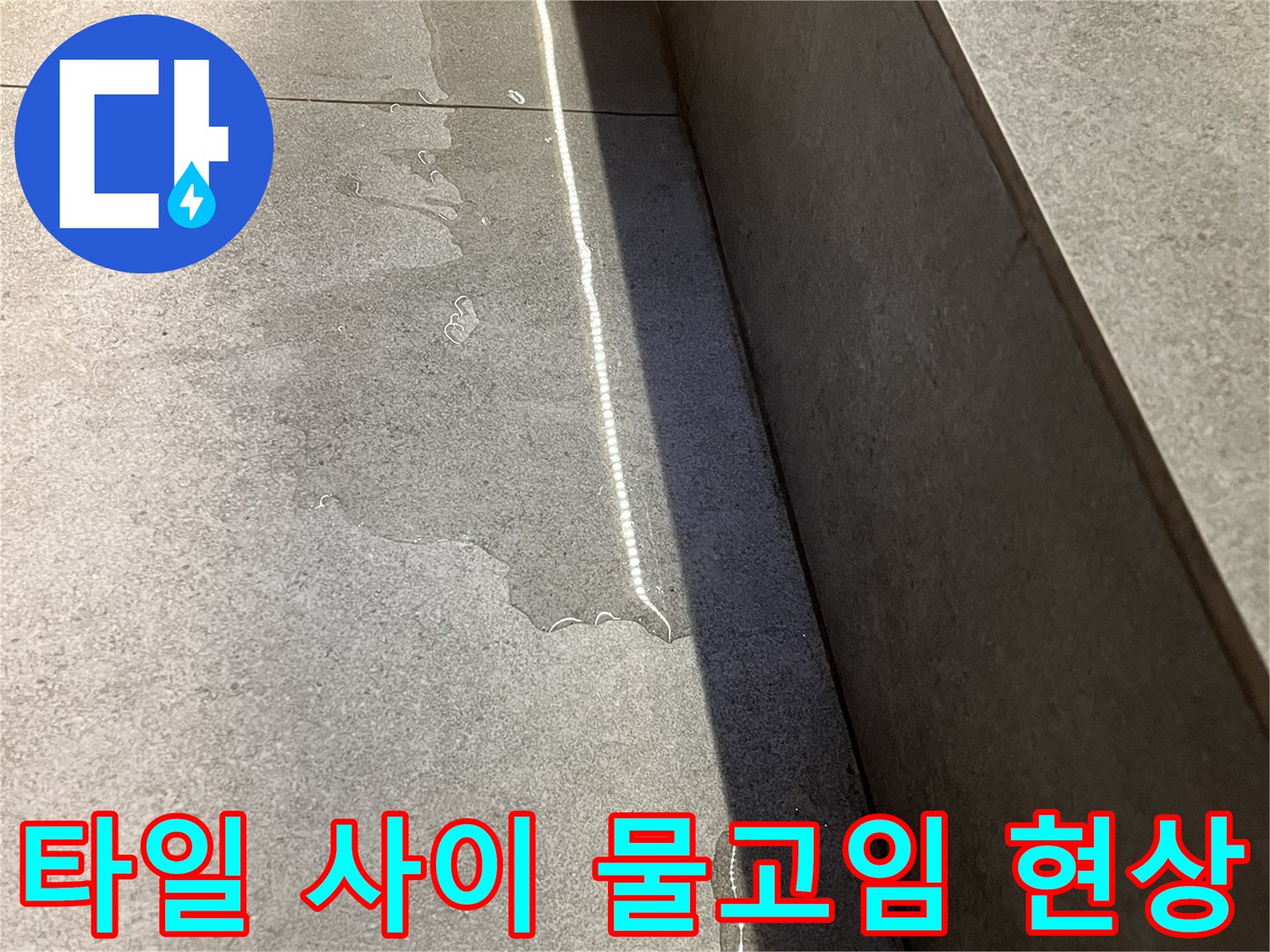 식당 바닥 타일 틈새로 배어 나온 습기와 물기 상태