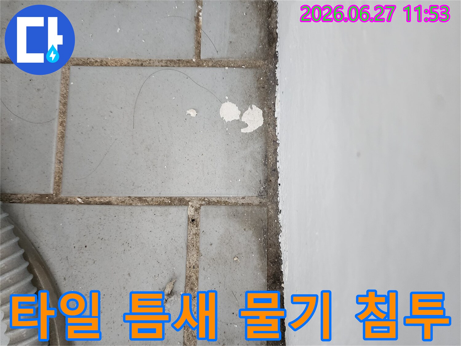 타일 틈새로 물기가 침투하여 오염된 바닥과 벽면 경계를 보여주는 누수 현장 사진
