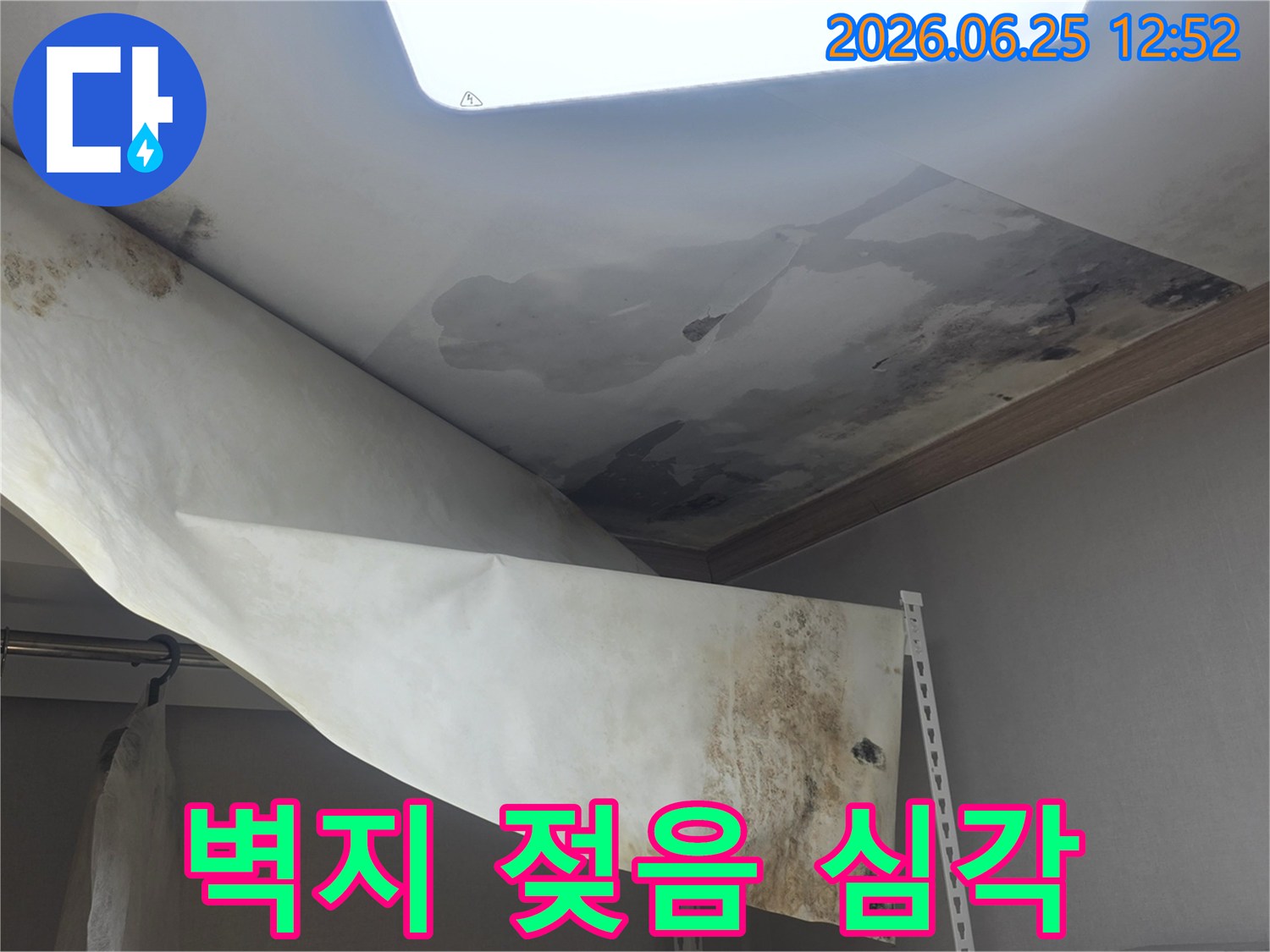 오랜 기간 방치된-천장 누수로 인해-벽지가 들뜨고-곰팡이가 번식한 현장입니다