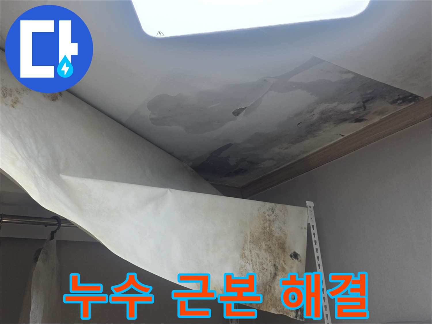 천장 누수로 인한-물자국과 곰팡이를-근본적으로 해결하기 위해-전문가가 현장을 진단 중입니다