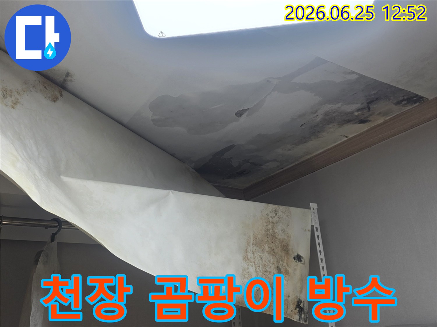 천장 누수로 인해-벽지가 젖고-심한 곰팡이가 발생한-현장을 방수 처리 중입니다