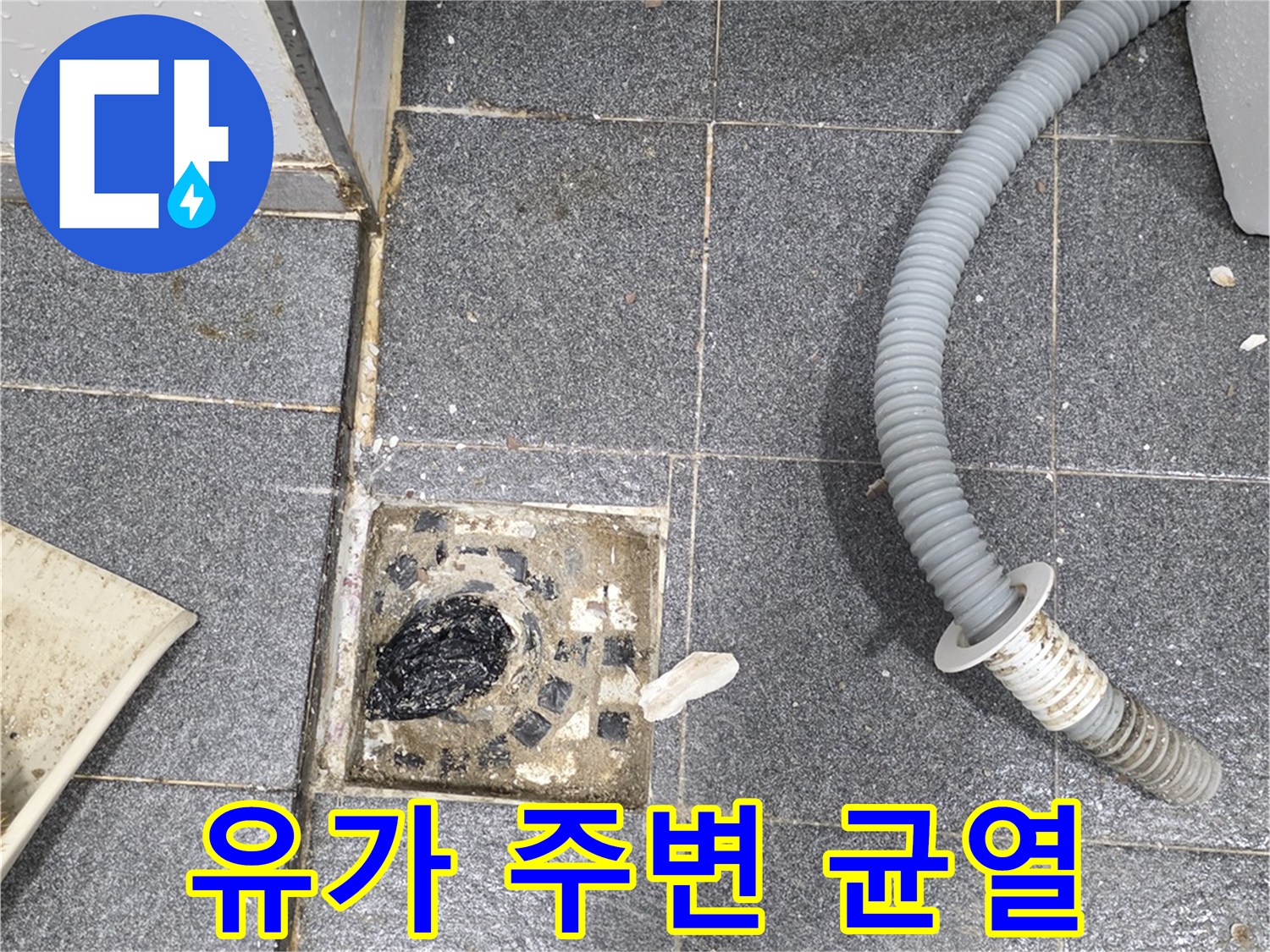 배수구 유가와 타일 사이의 벌어진 틈을 촬영한 이미지입니다.