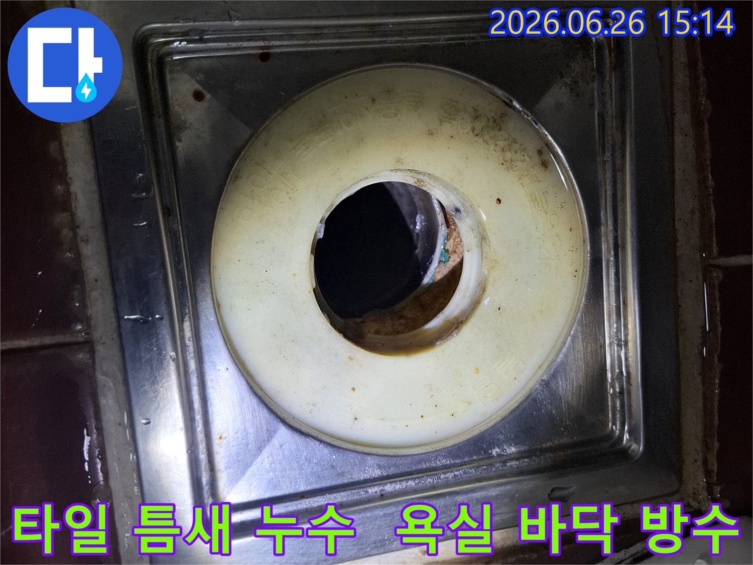 욕실 바닥 배수구 주변의-타일 줄눈과 틈새에-오염과 물때가 심한 상태를 보여줍니다.