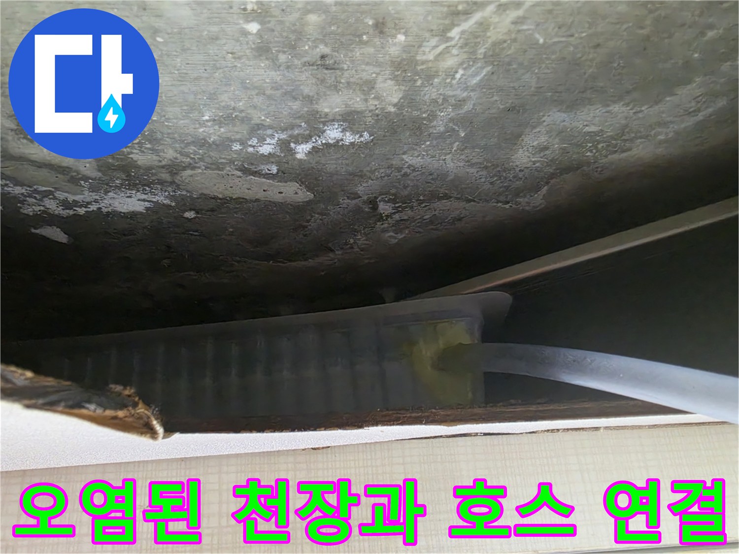 습기가 밴 천장 면과 배수를 위해 연장 설치한 드레인 관로