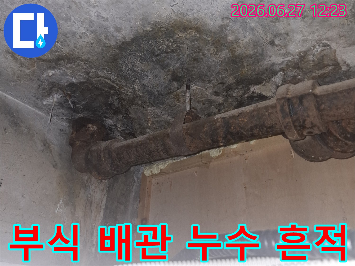 콘크리트 바닥에 물이 스며들어-어둡게 변색된 부분과-심하게 녹슨 배관이-함께 보이는-누수 현장의-클로즈업 사진입니다
