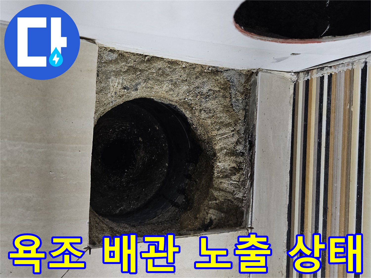 욕조 옆면을 뜯어내어-노출시킨 하수 배관 내부