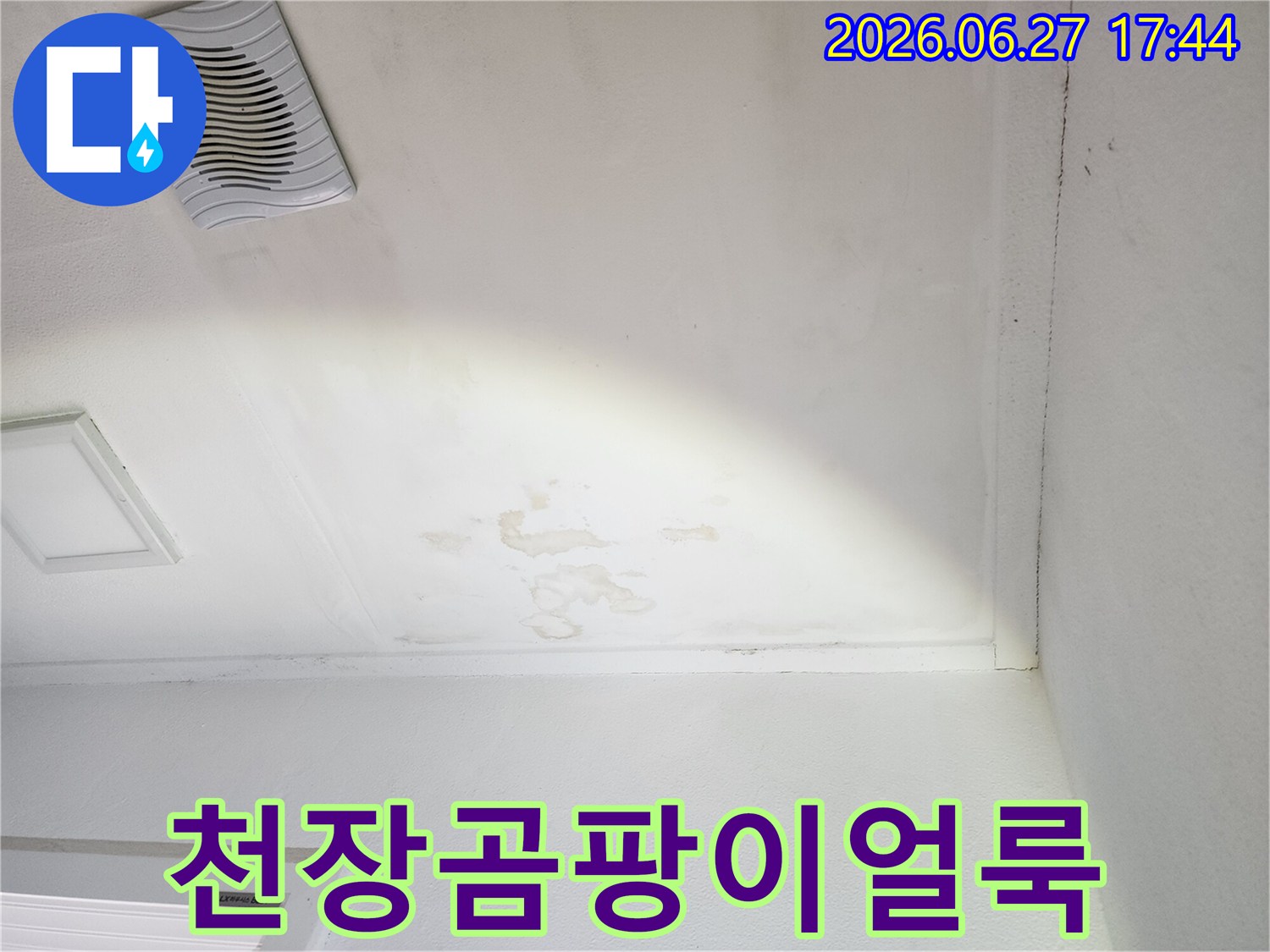 천장-모서리-부분에-누수-흔적과-함께-곰팡이가-시작되는-사진입니다.