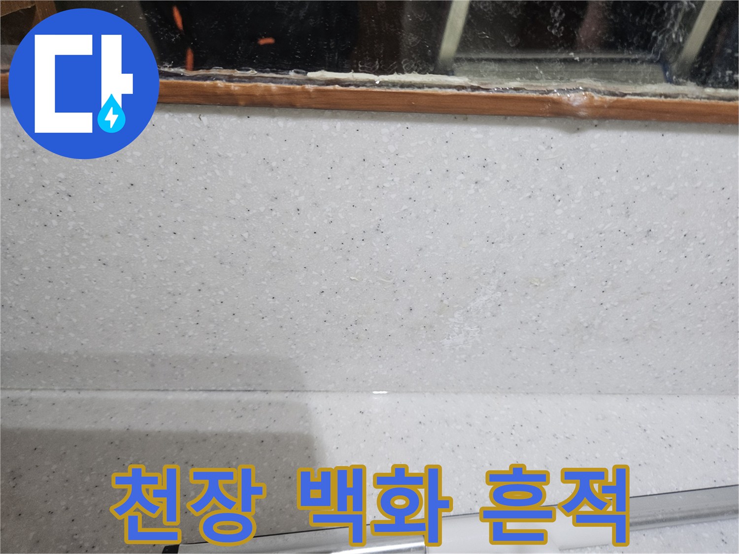안양 아파트 화장실 천장 슬래브에 나타난 백화 현상과 습기 자국