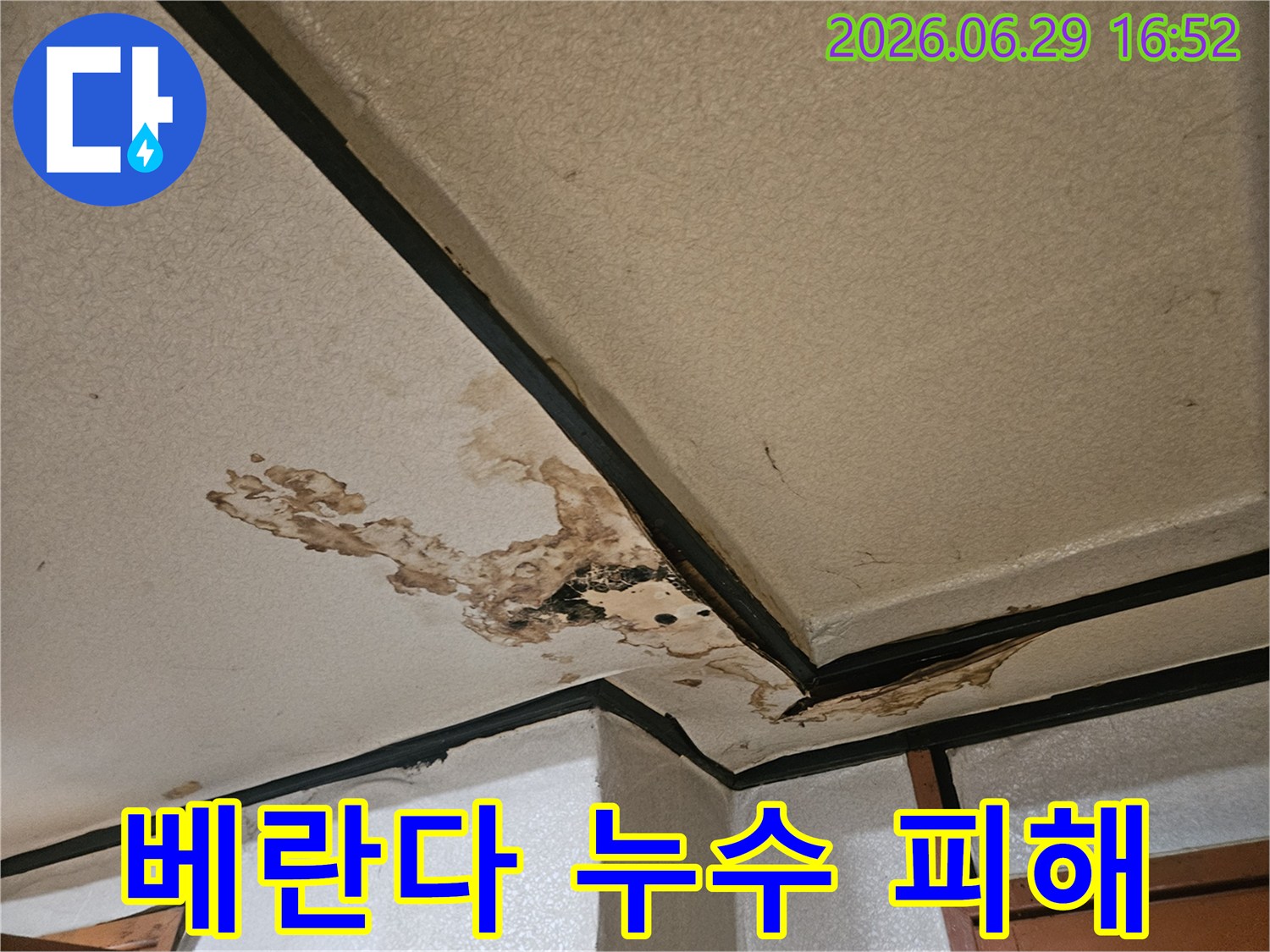 베란다-인접-바닥-장판-아래로-물이-새어-나와-오염된-현장