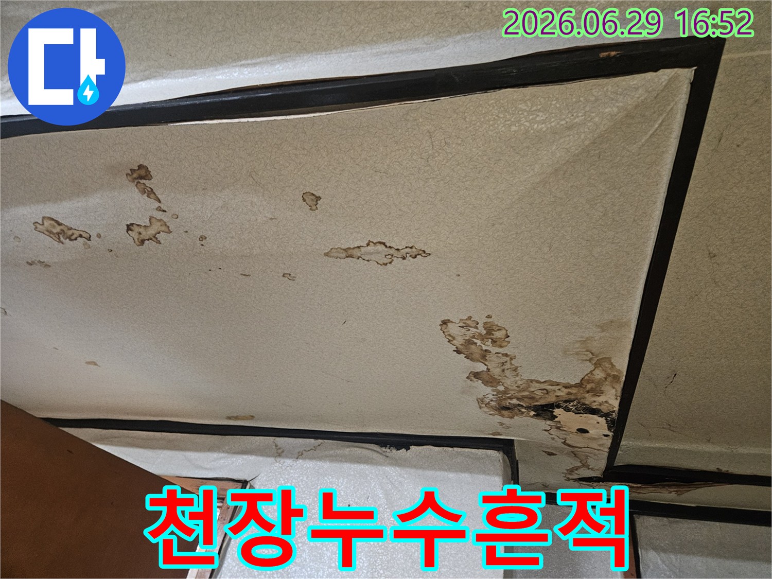 천장에서-발견된-누수-흔적을-정밀하게-확인하는-모습입니다.