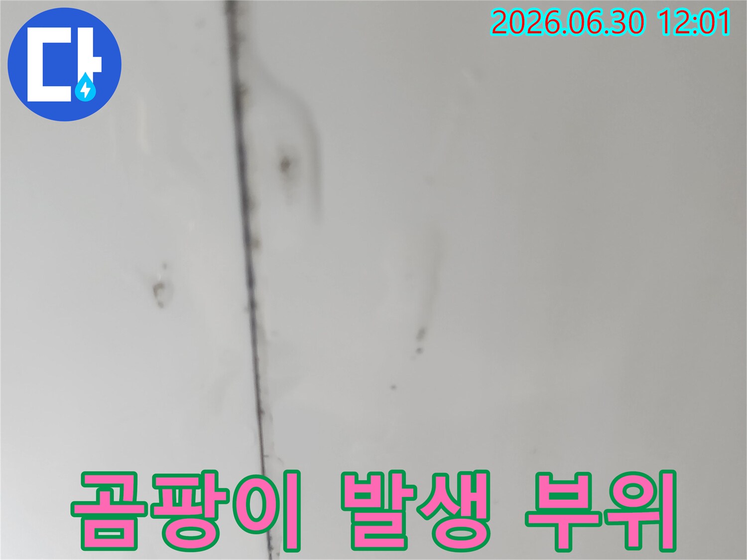 천장-이음새-부분에-물기가-스며들어-생성된-곰팡이와-함께-표면이-변색된-모습을-촬영했습니다.