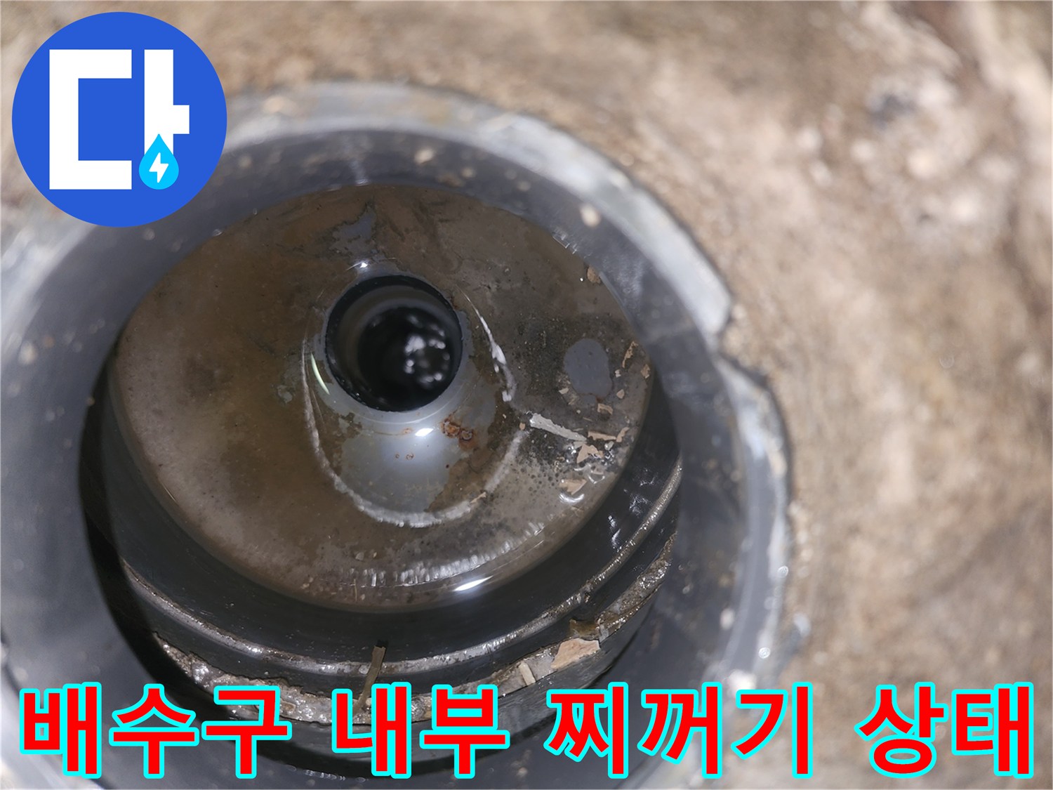 배수관 입구에 쌓여있는 오염된 이물질 상세 사진